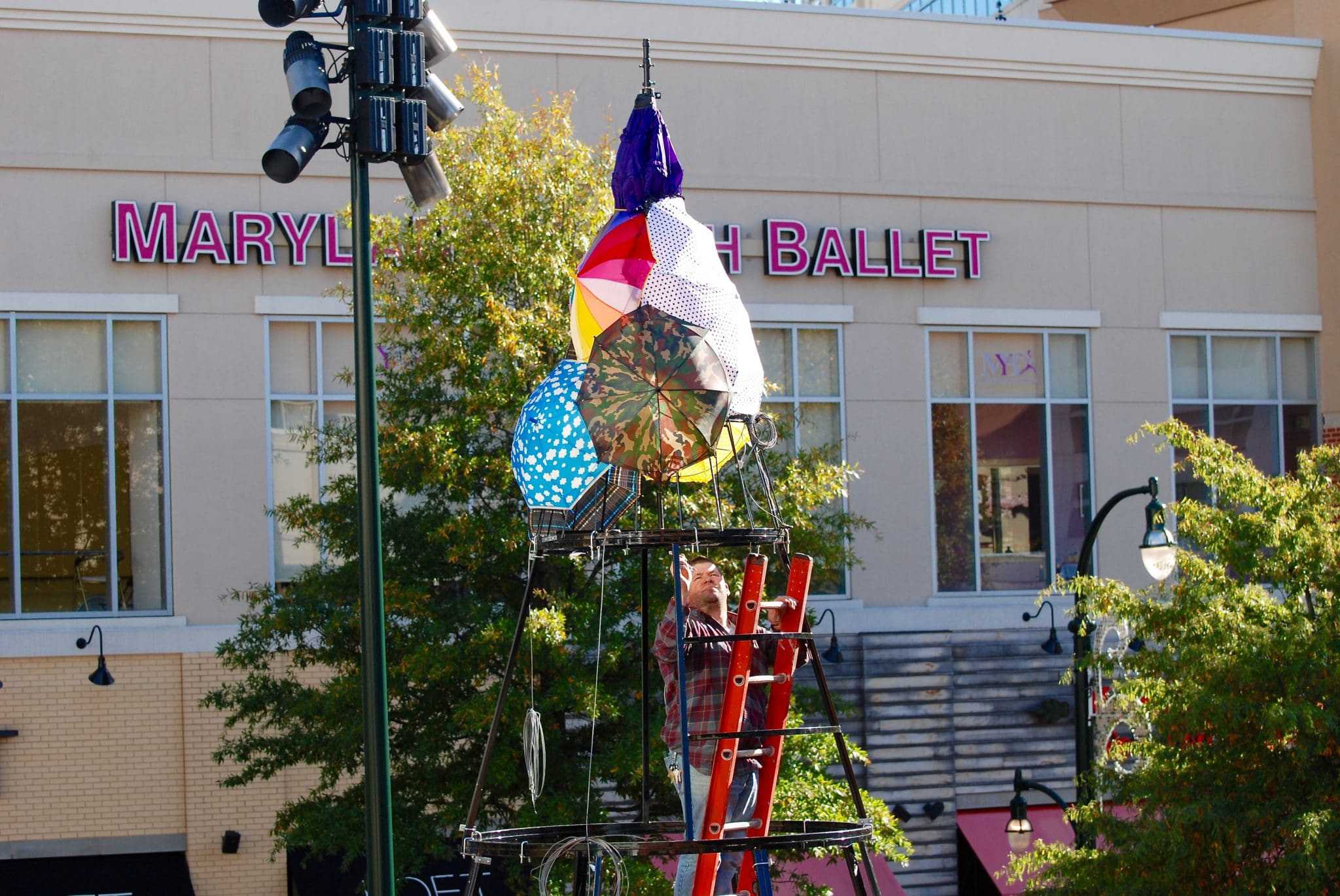 Positivi-Tree to light up downtown Silver Spring this weekend