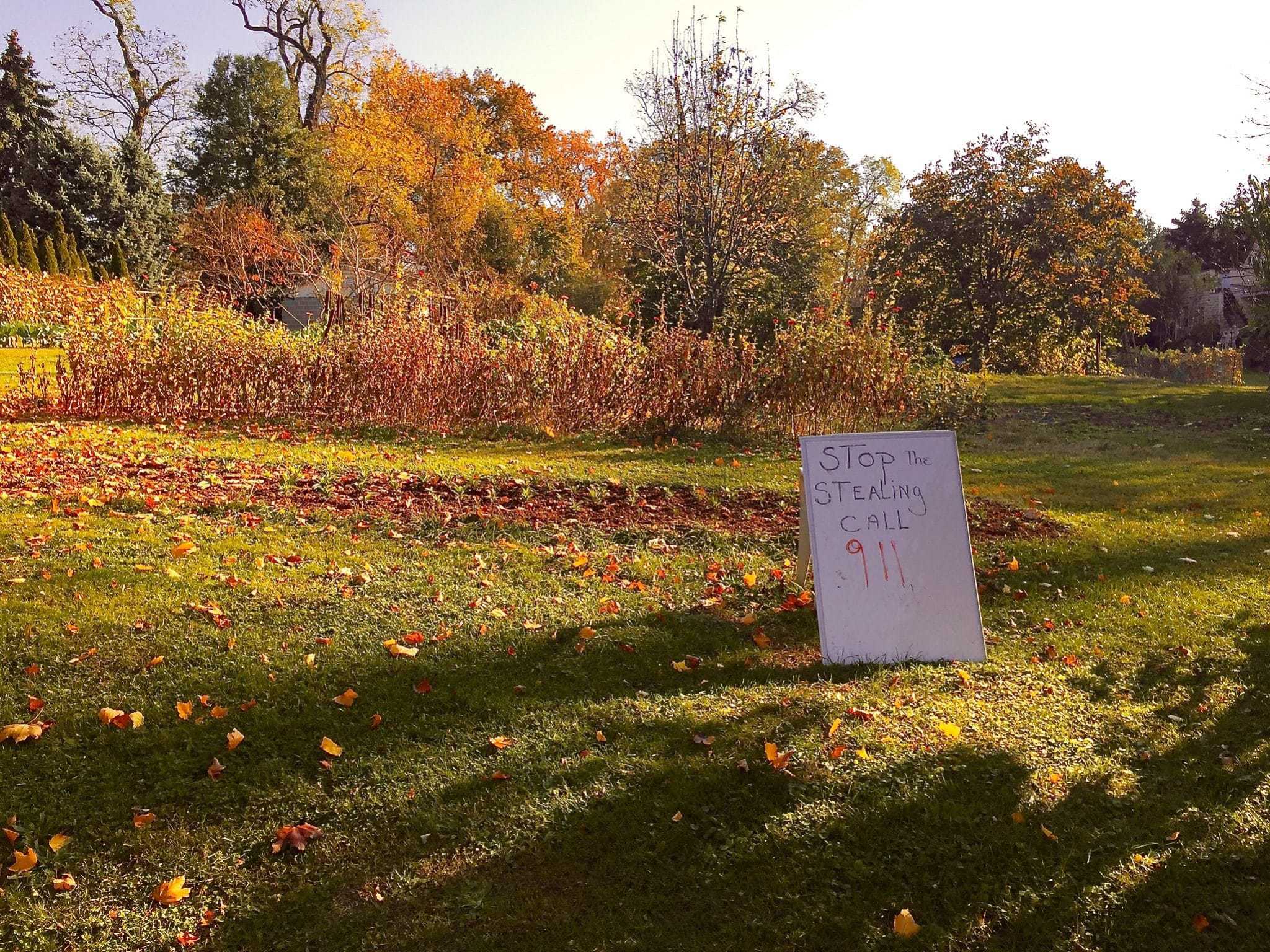Council Passes Tax Credit for Urban Farms