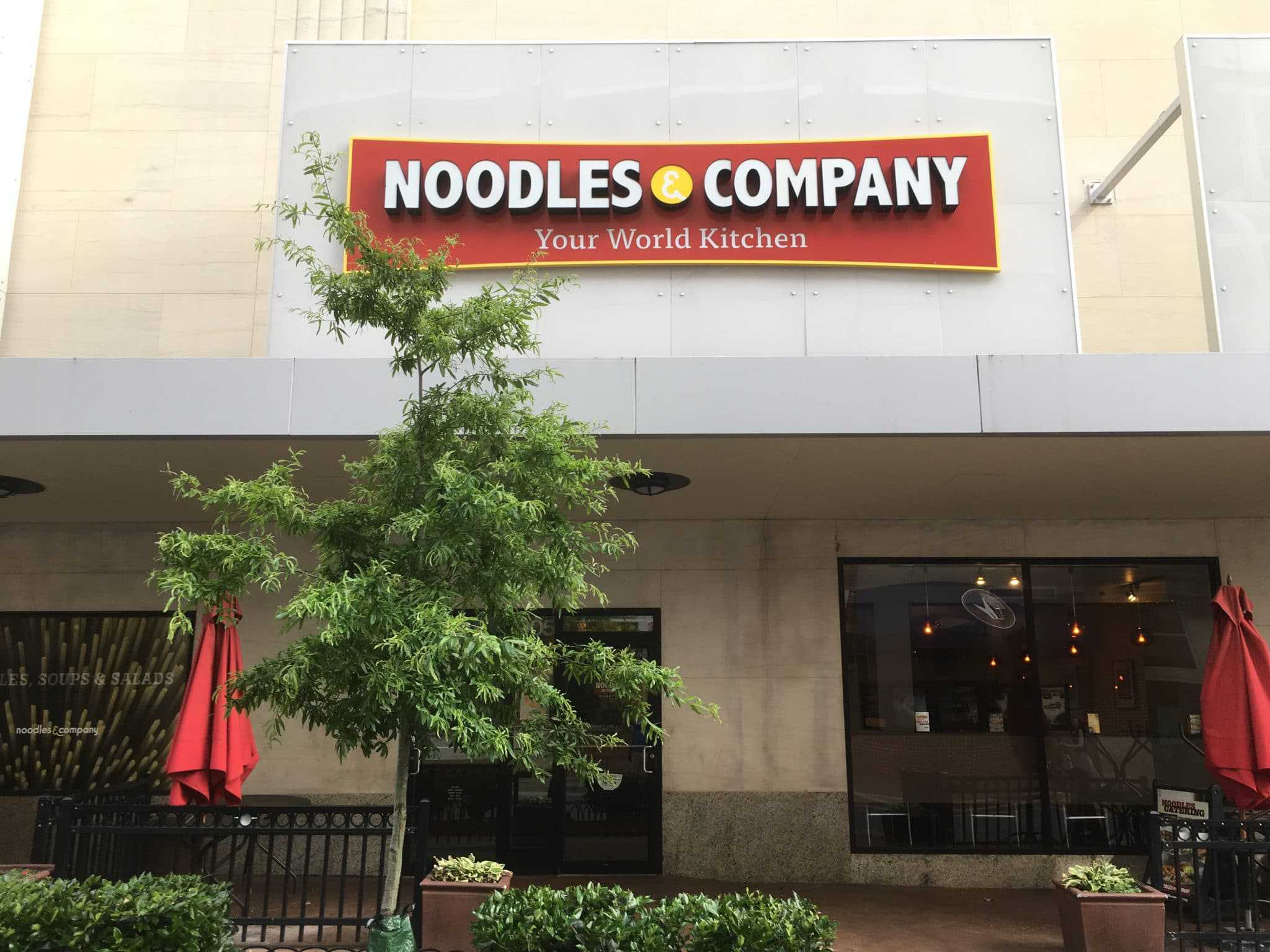 Noodles and Company back in business