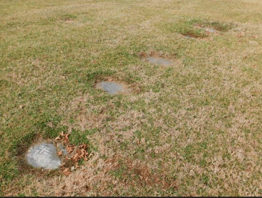 In Search of the Lost Souls of “Silver Spring:” Coachman William Henry Lemon (ca. 1806/16 -1893)