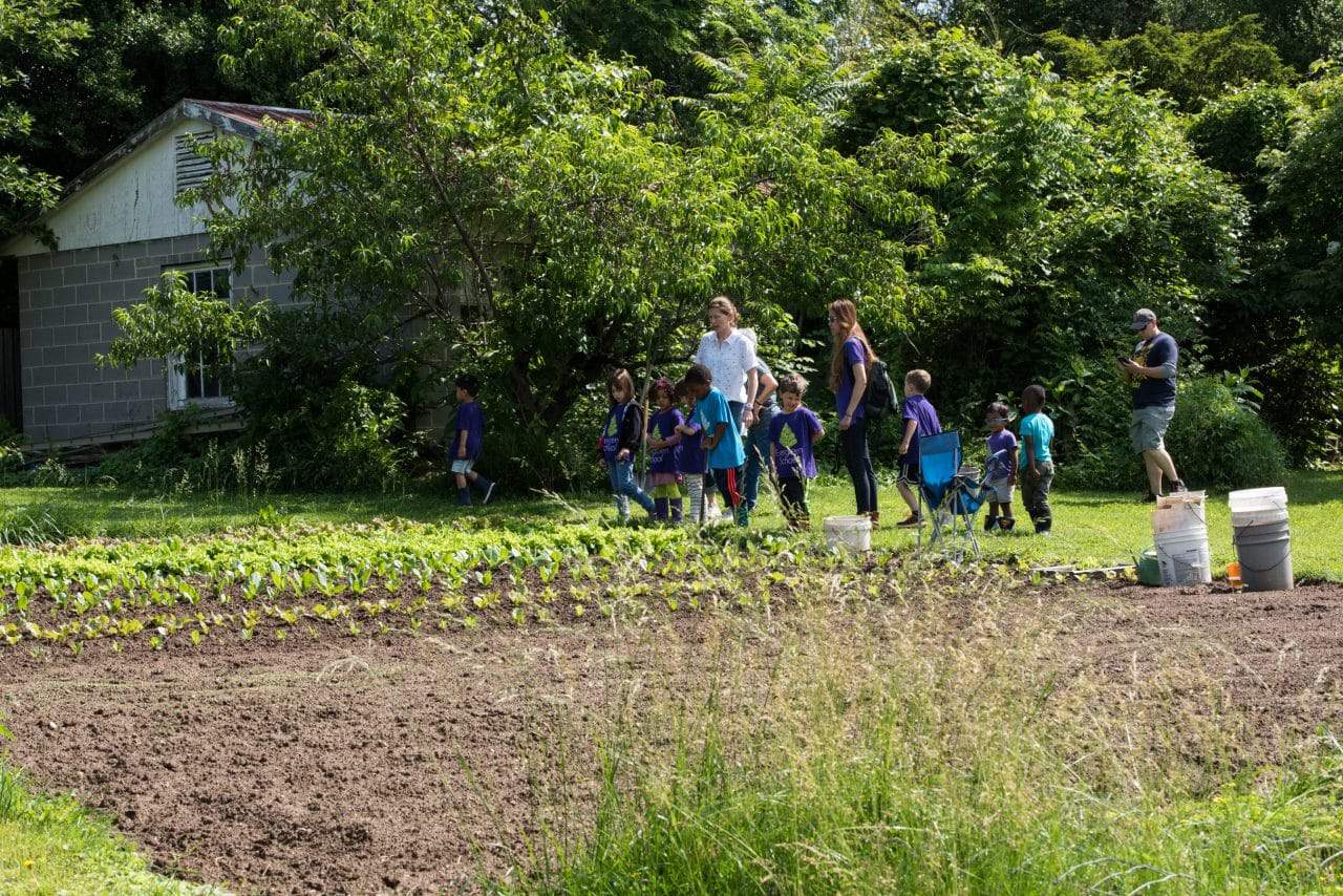 New Nonprofit Formed to Help Preserve, Create Urban Farms