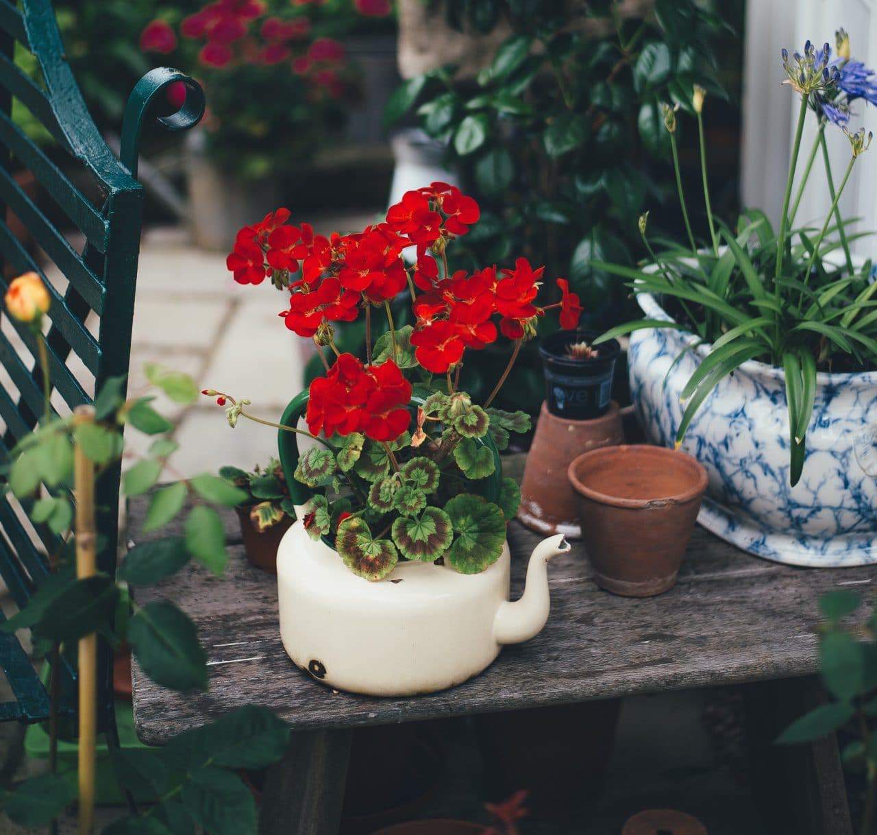 Curb Appeal of Homes Goes a Long Way