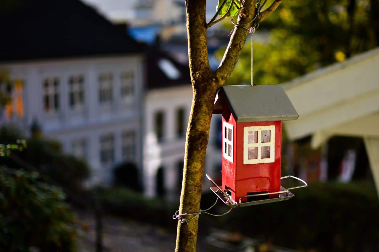 Emotions Can Come Into Play When Buying And Selling a Home