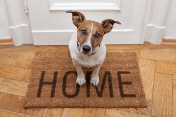 Home Buying Cents — Stick to Your Budget