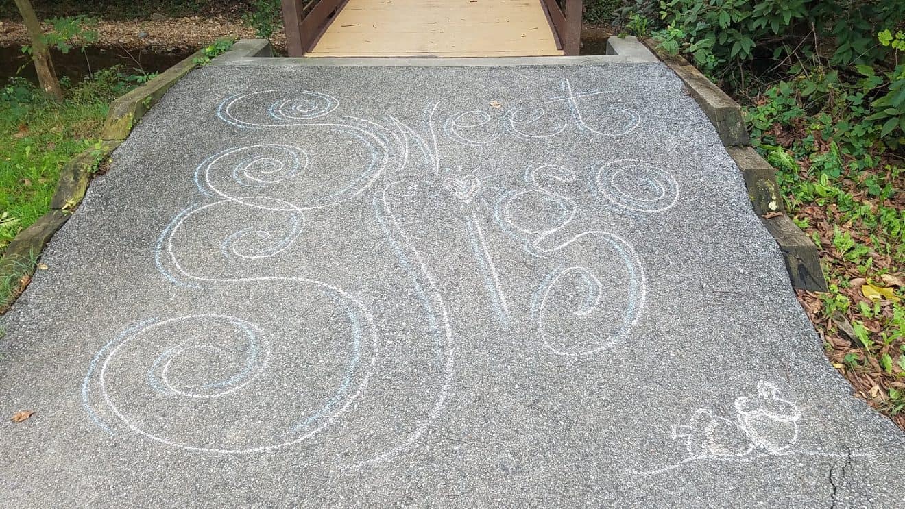 Unknown Artist’s Work Brightens Trail Users Day