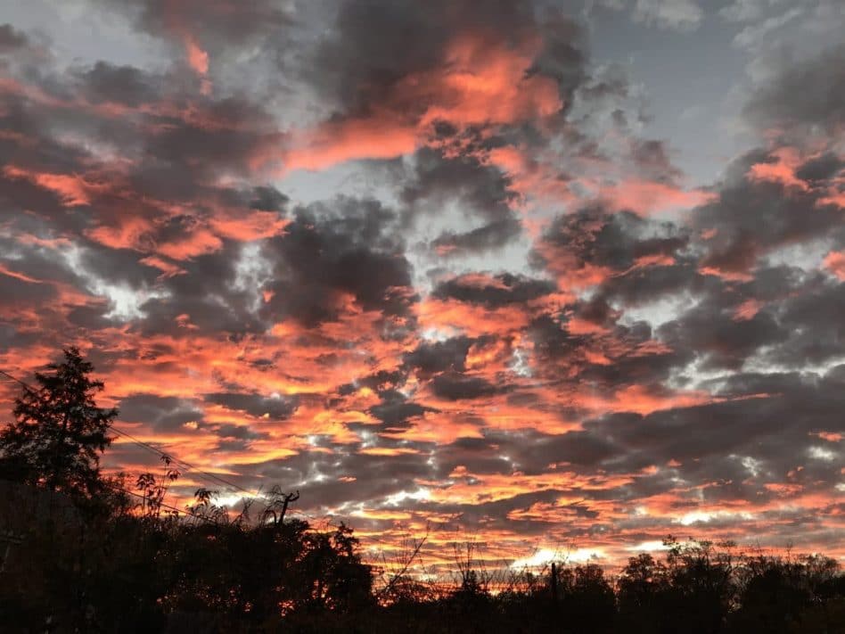 #SourceSunsets: Election Night Edition