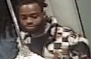 Police Release Surveillance Video from Ellsworth Place Theft