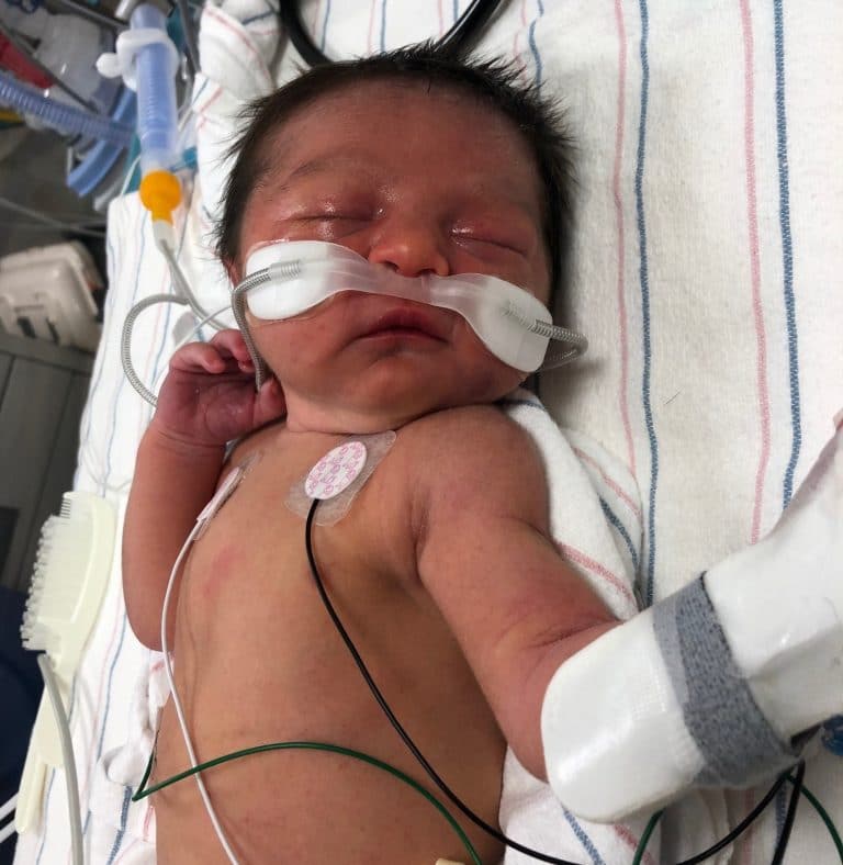 UPDATE: Police Identify Mother of Abandoned Baby Found Near Sligo Creek