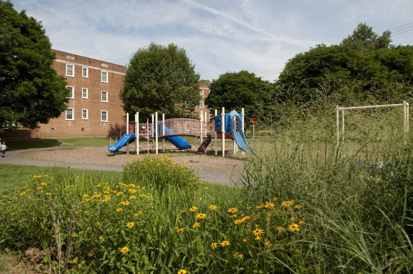 Renovations to Juniper Blair Park Continue This Week