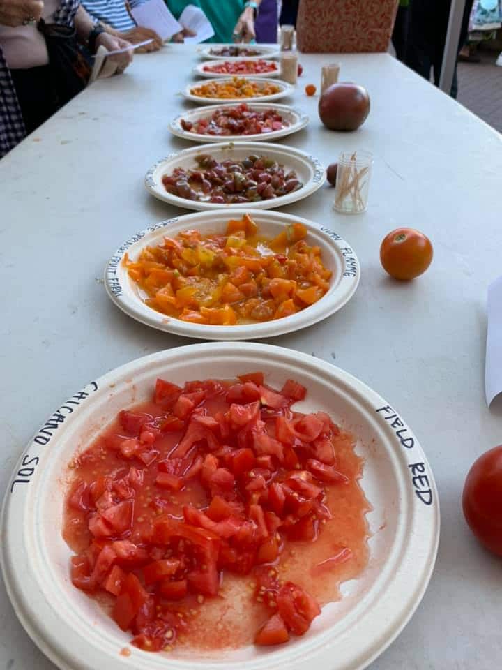 “Red Grape” Wins Tomato Tasting Event