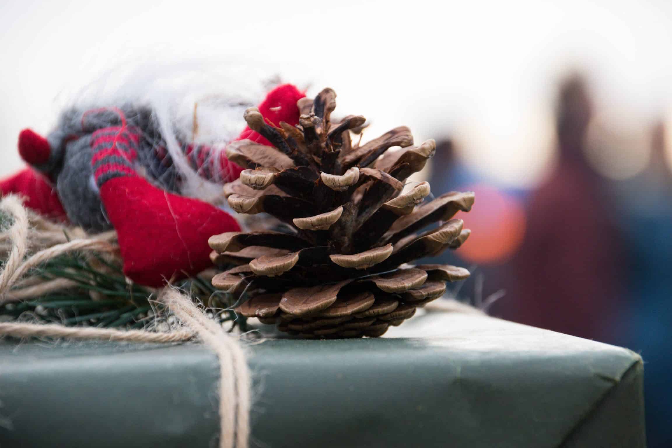 Takoma Park Police Collecting Toys, Donations for Needy Families