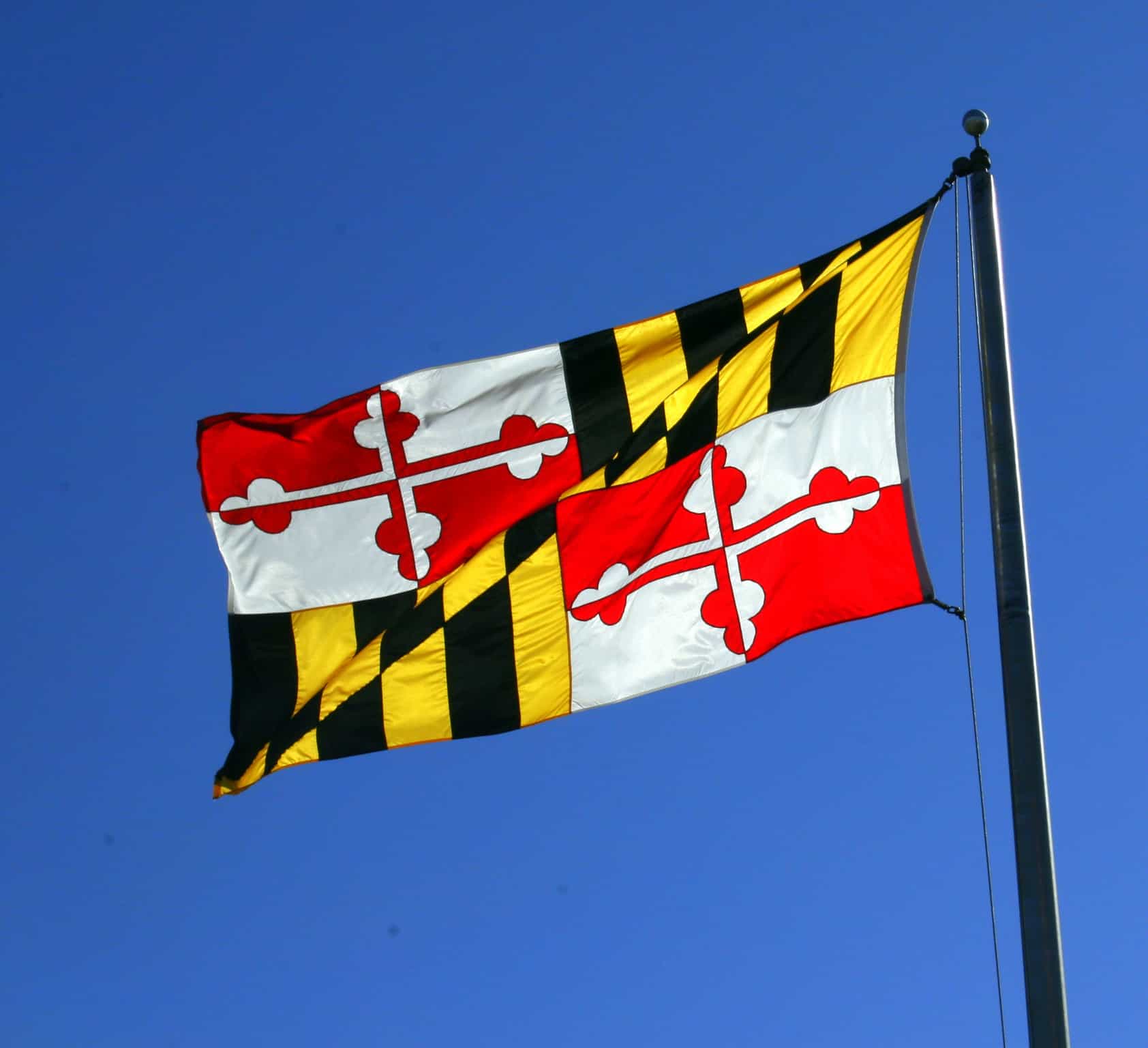 County, State Leaders Declare Emancipation Day
