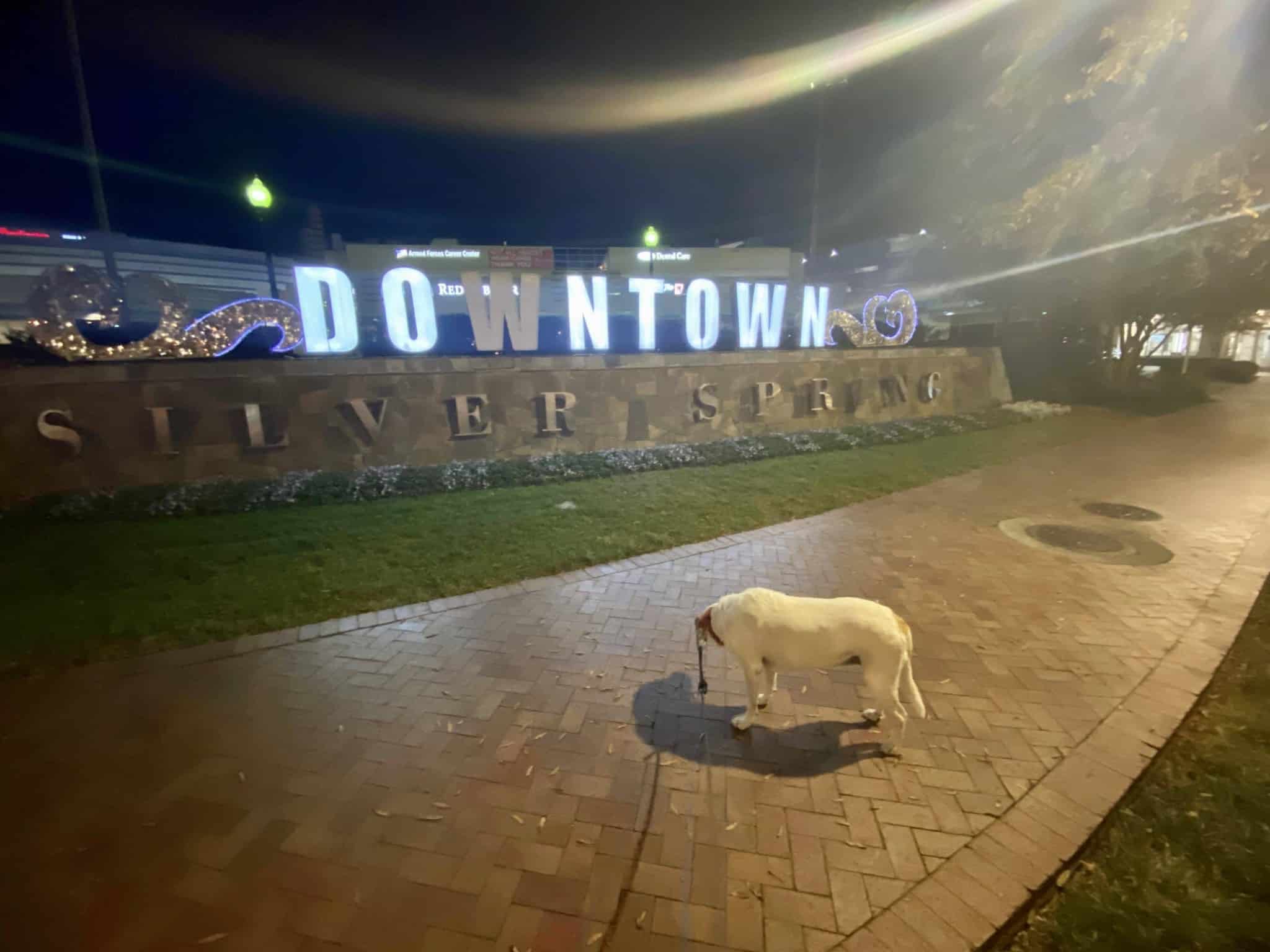 Don’t Own or Don Town?