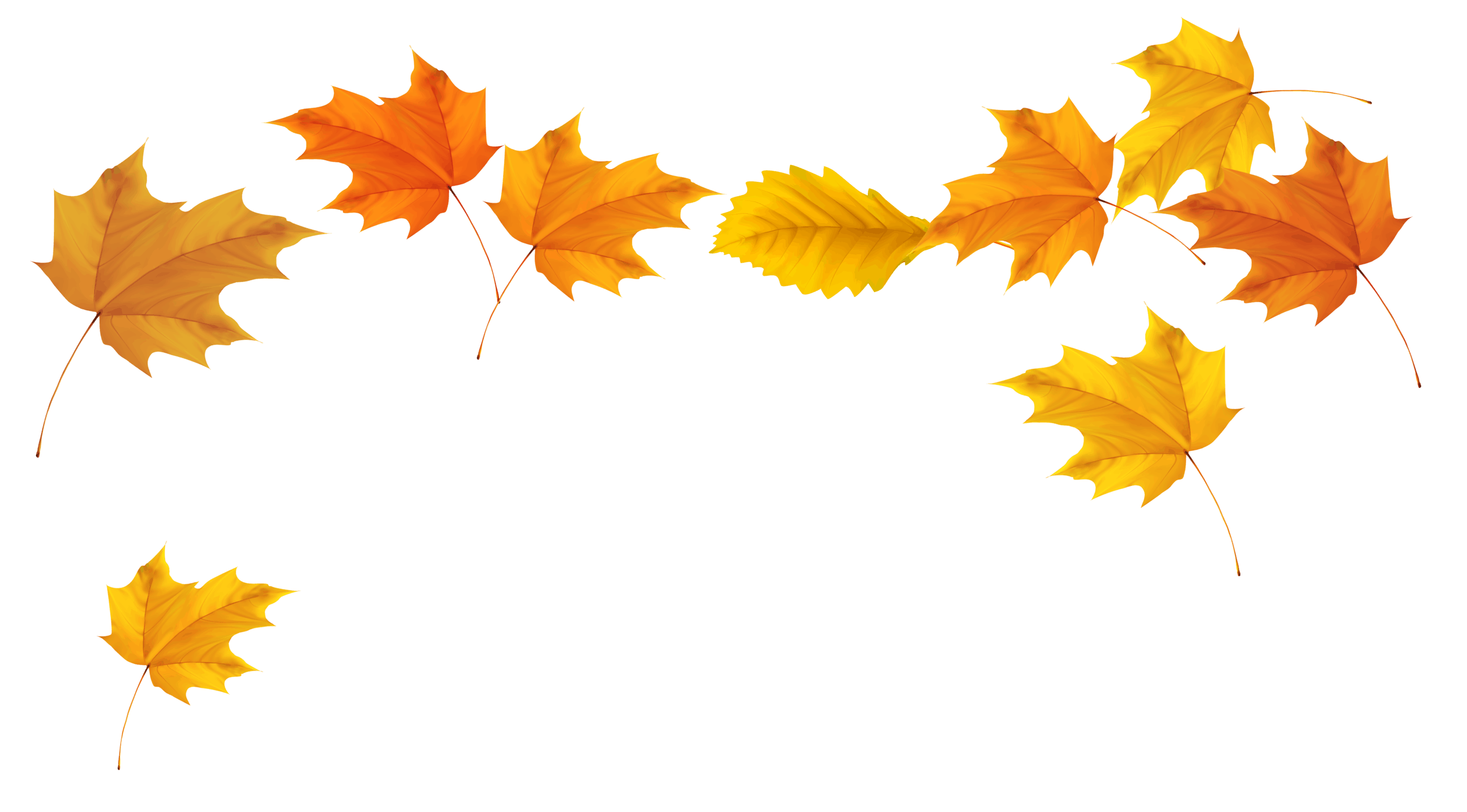 County’s Annual Leaf Collection to Begin Monday, Nov. 9