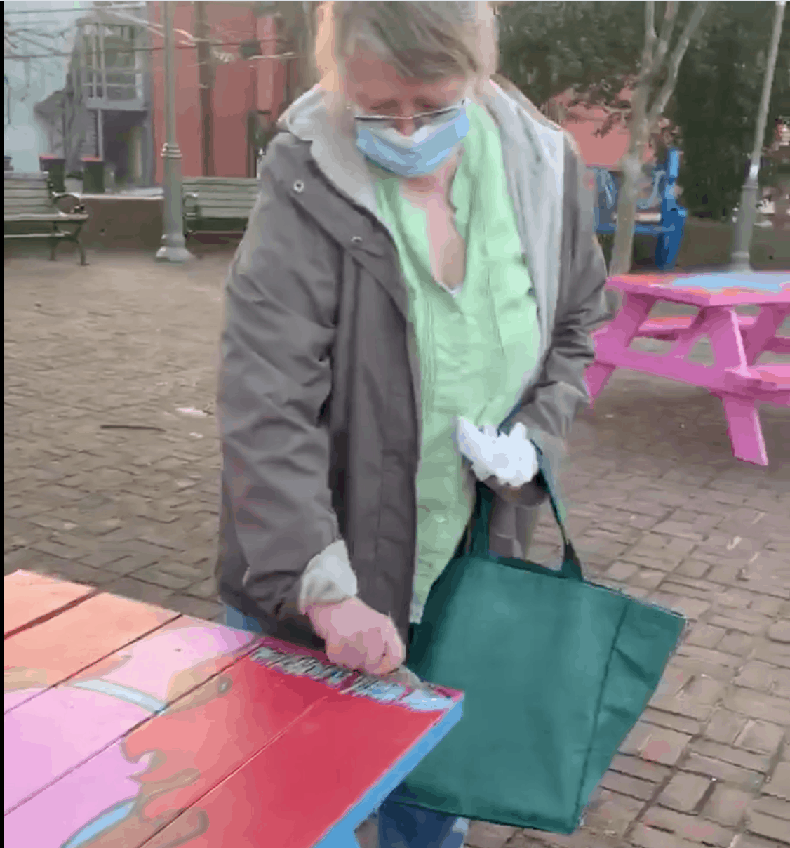 Parks Police Seek Identity of Woman Seen Vandalizing Takoma Park Public Art Project
