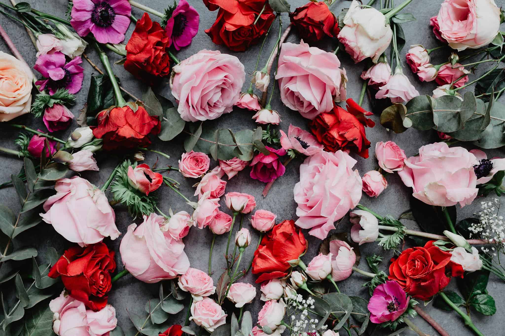 Bell Flowers Featured in ‘Made In Montgomery’ Series