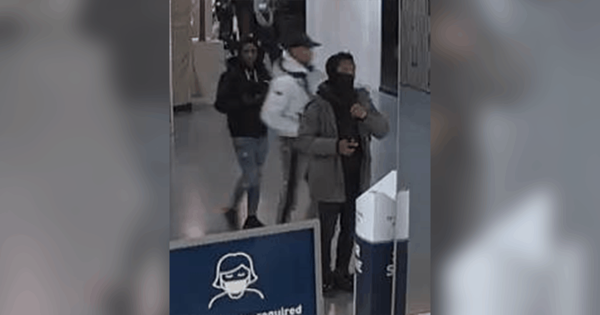 Detectives Seek Help Identifying Suspects in 21 Thefts from Vehicles