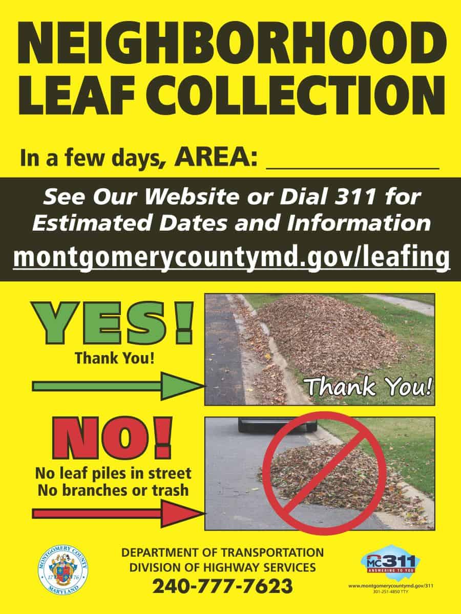 County’s Annual Leaf Collection Scheduled to Begin Next Week