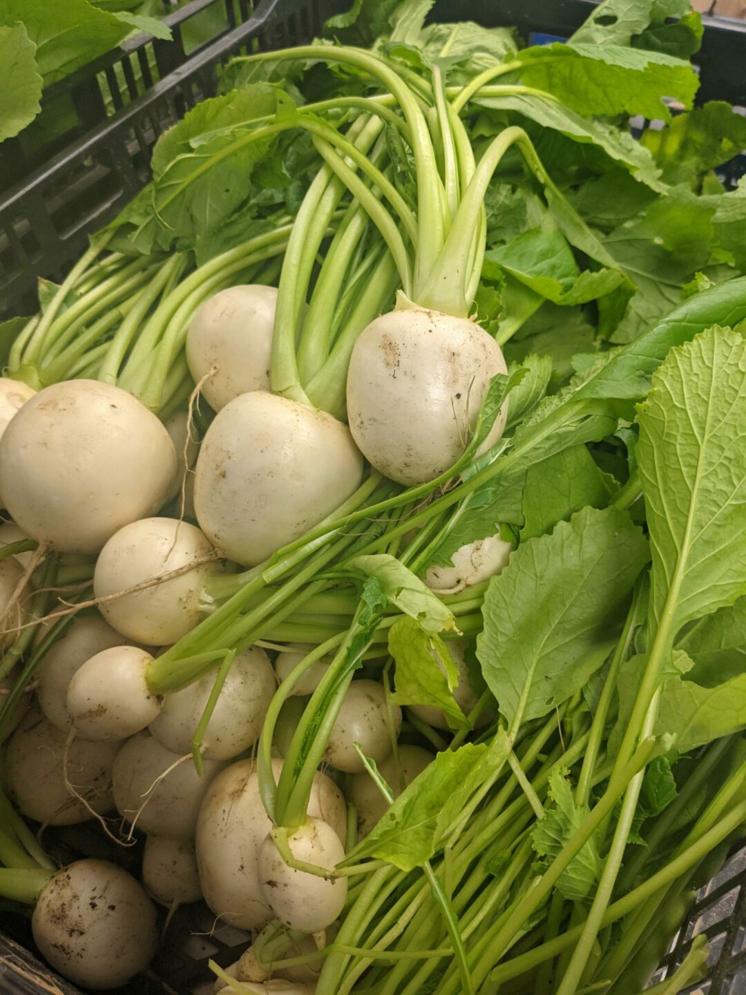 Silver Spring Nonprofits Team with Shepherd’s Table to Help Feed Clients
