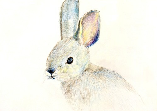 Drawing & Painting for Kids