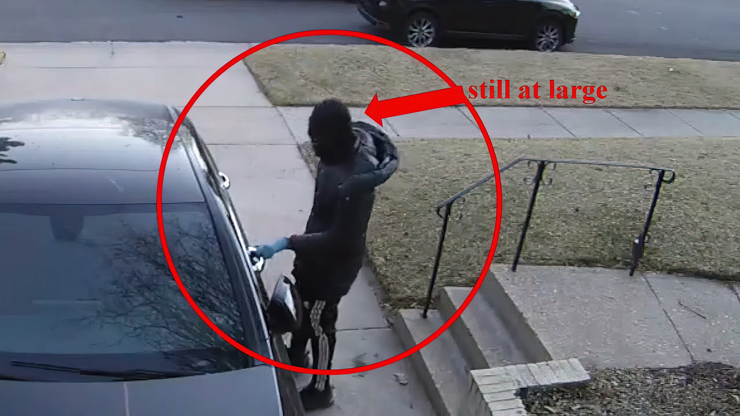Two Arrested in Series of Armed Robberies, Carjackings