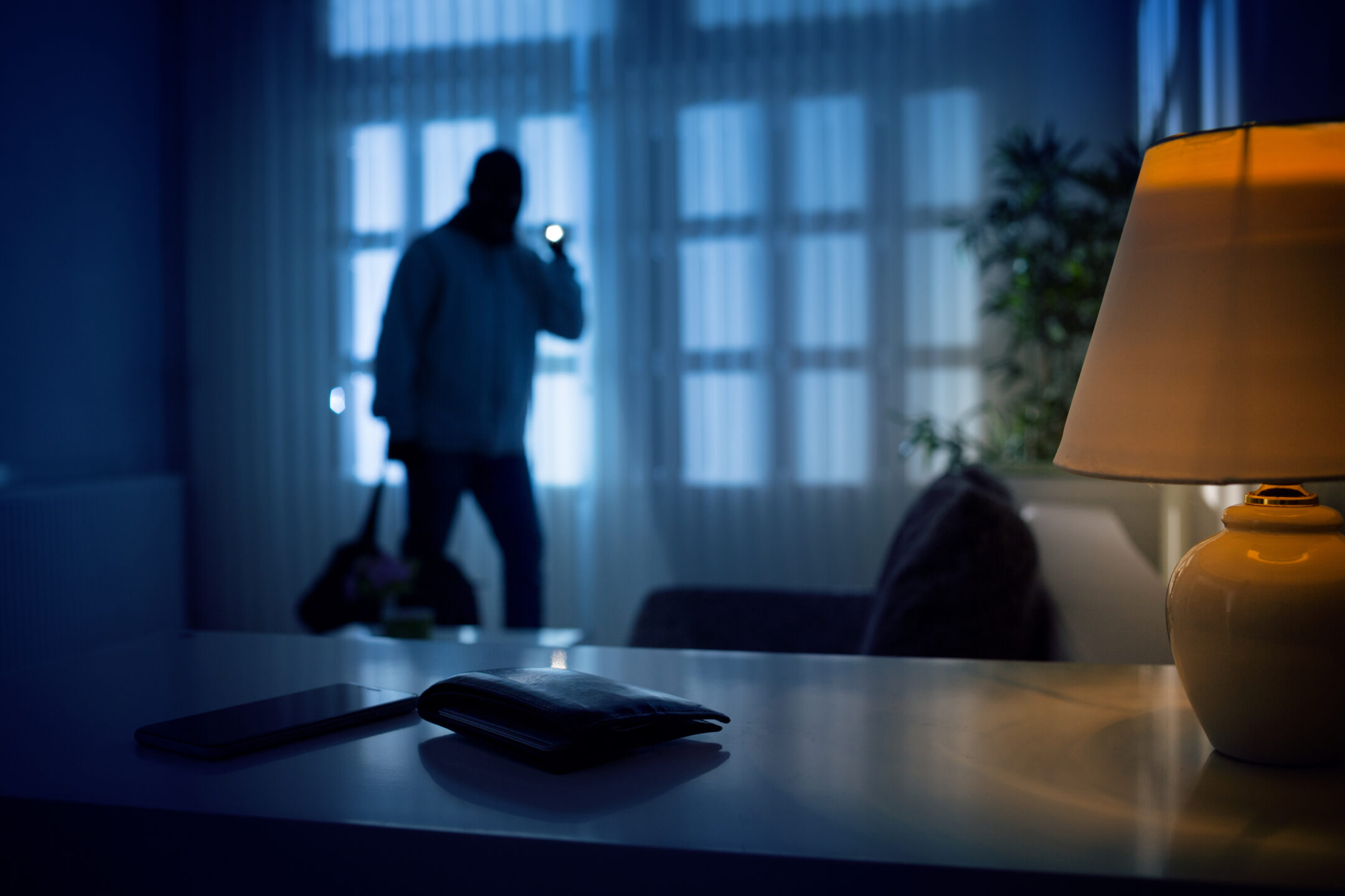 Police Investigating Attempted Burglary