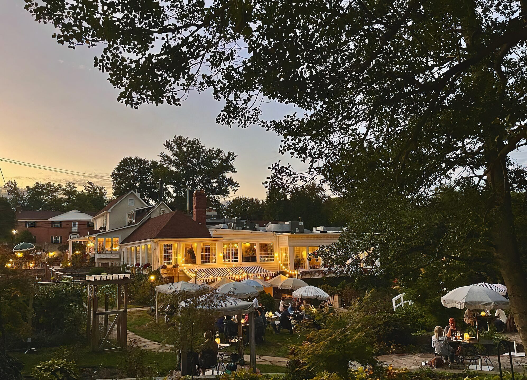 Mandalay, Zinnia Featured in 2023 Spring Dining Guide
