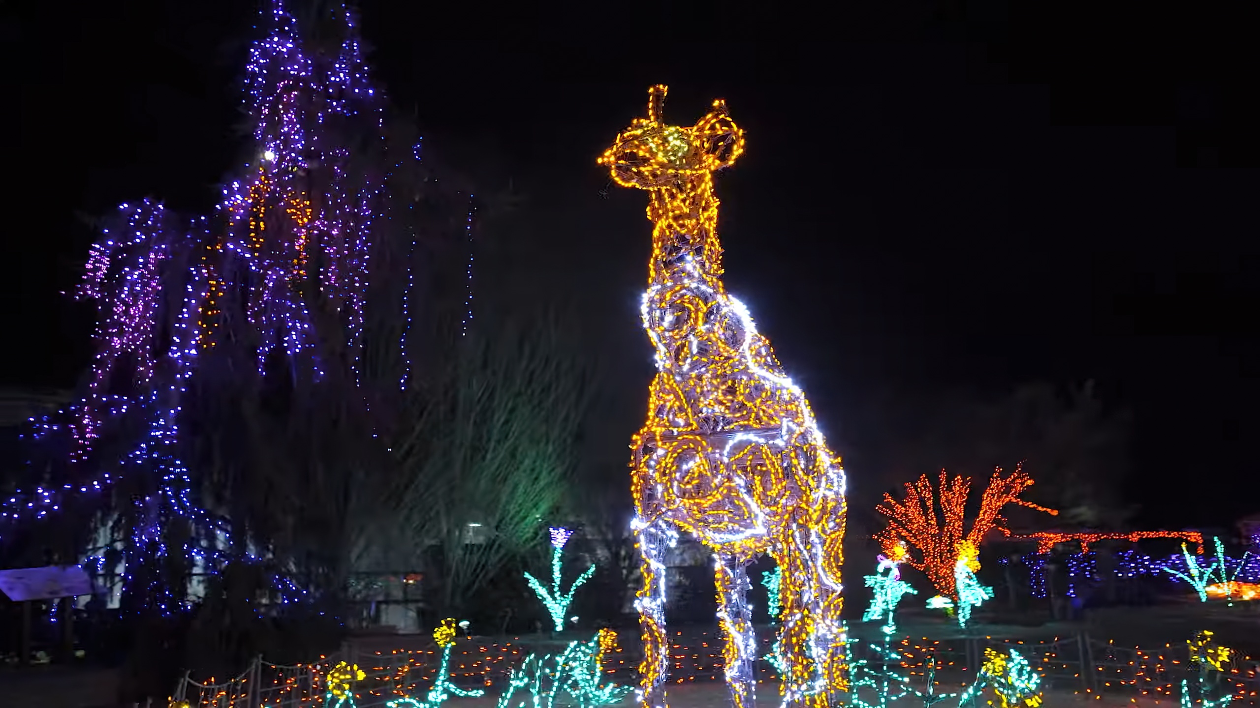 Tickets to Garden of Lights at Brookside Gardens On Sale Tuesday