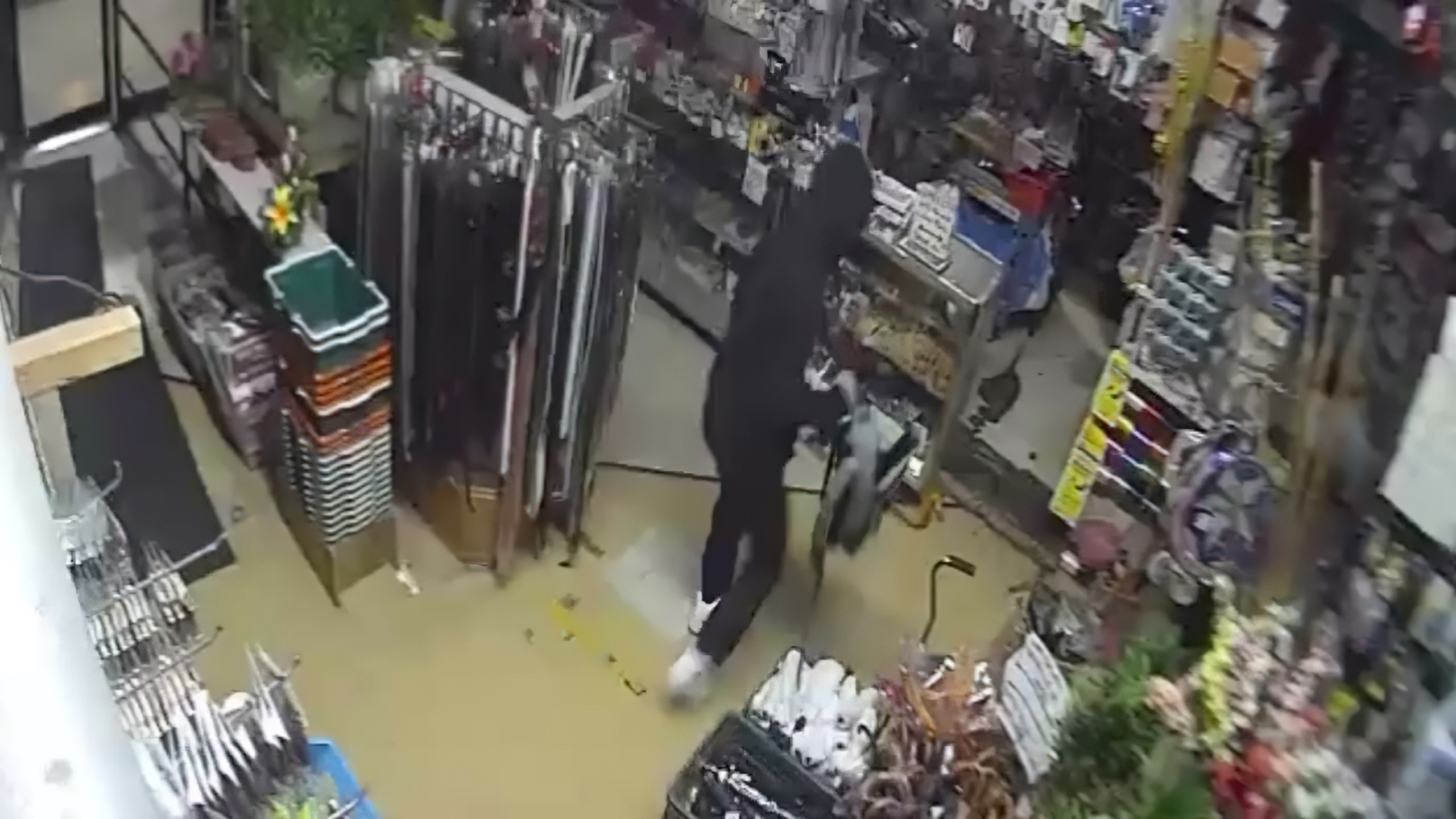 Police Seeking Help Identifying Dollar Century Plus Burglar