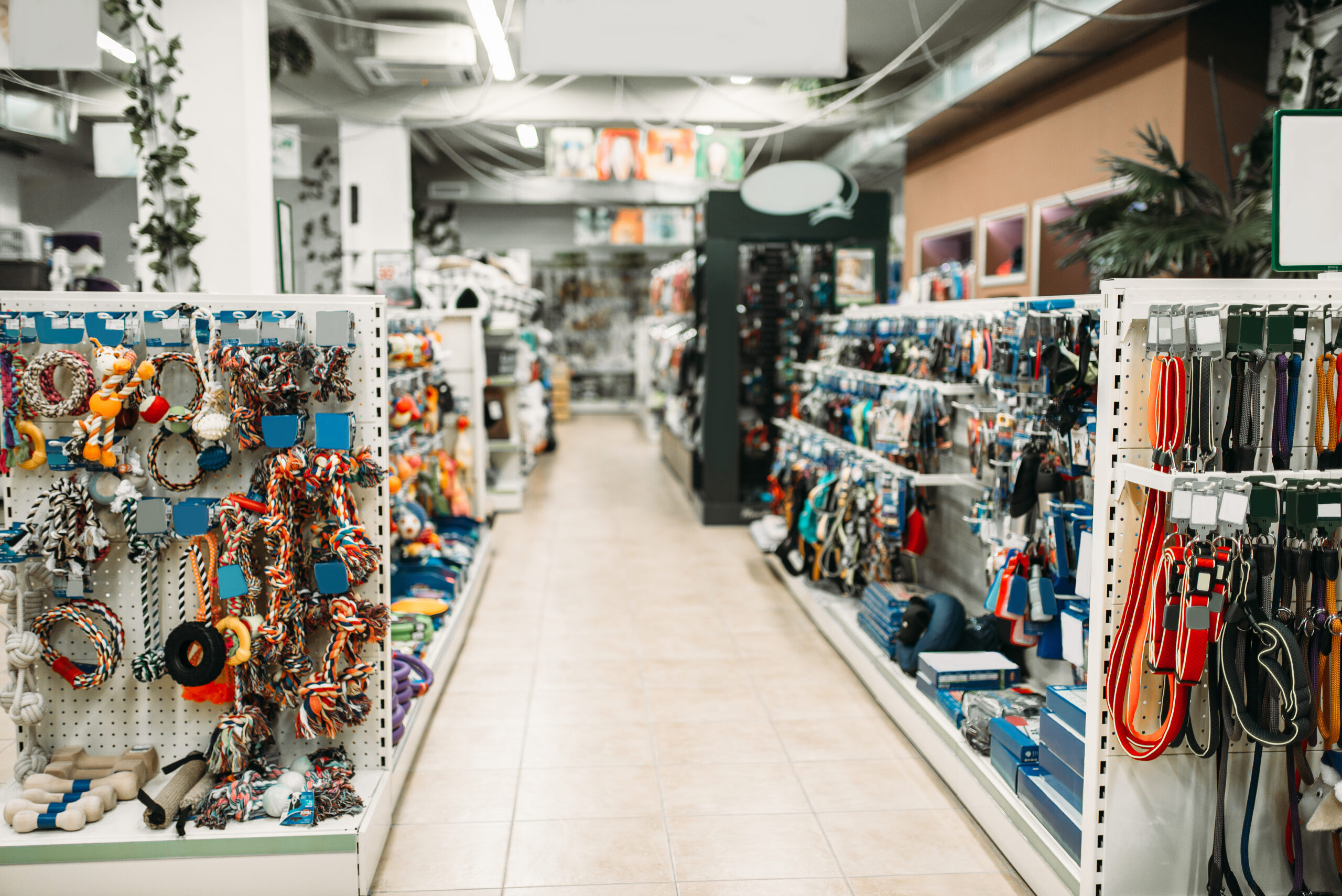 Loyal Companion to Close All Stores Feb. 28