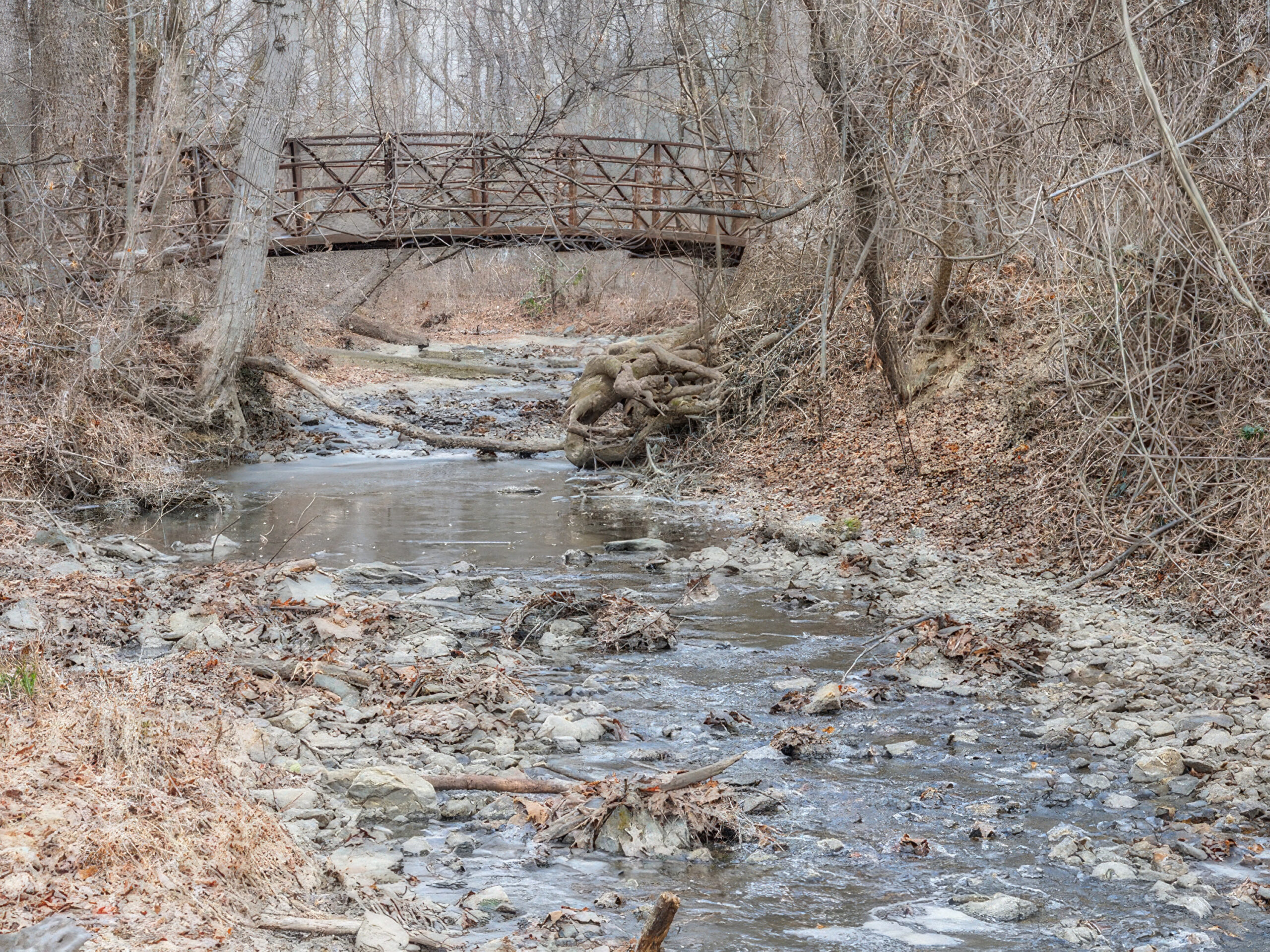 Sligo Creek Park Slated for Trail, Other Improvements