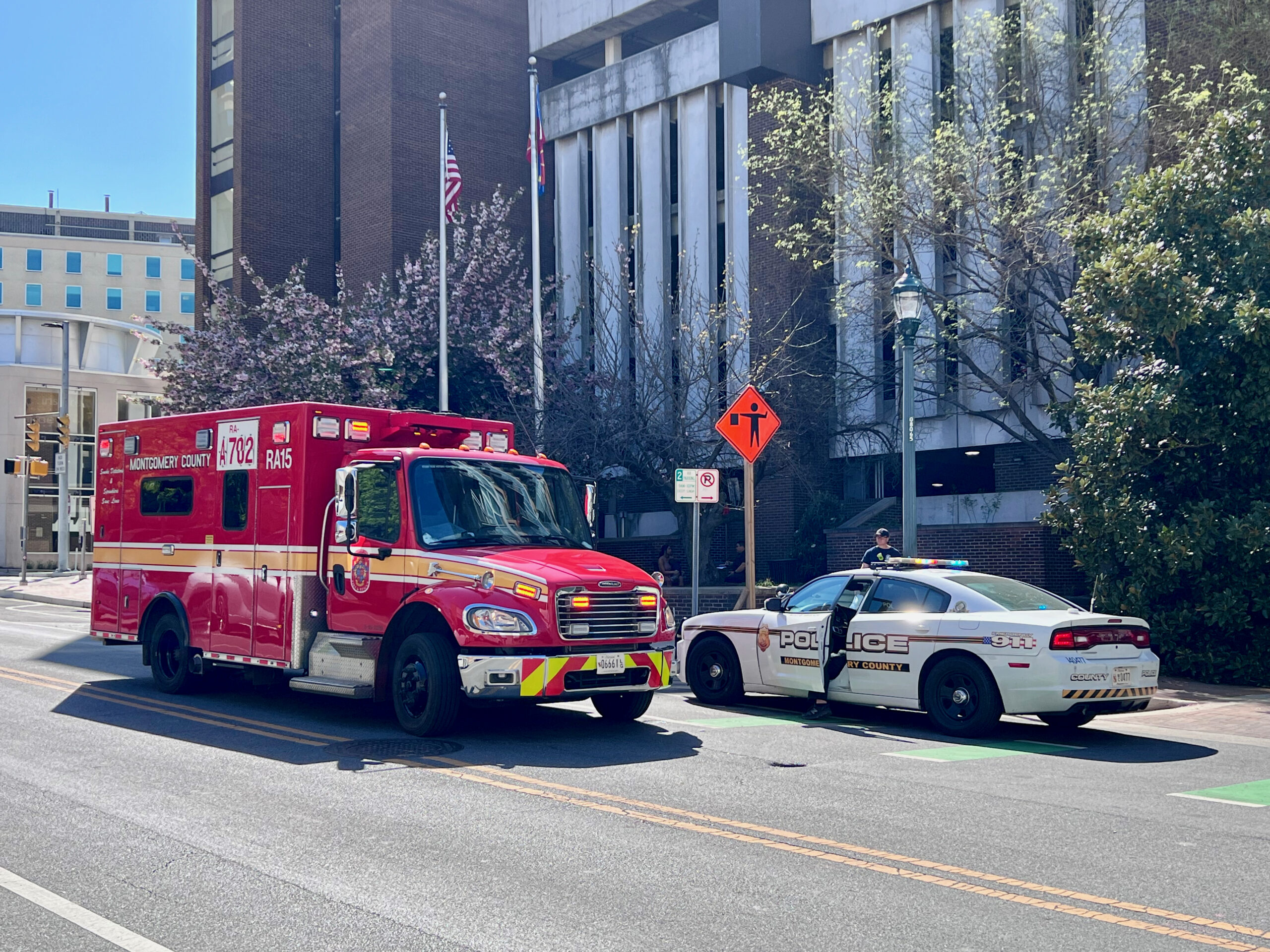 Woman Injured in Domestic Assault, Police Say
