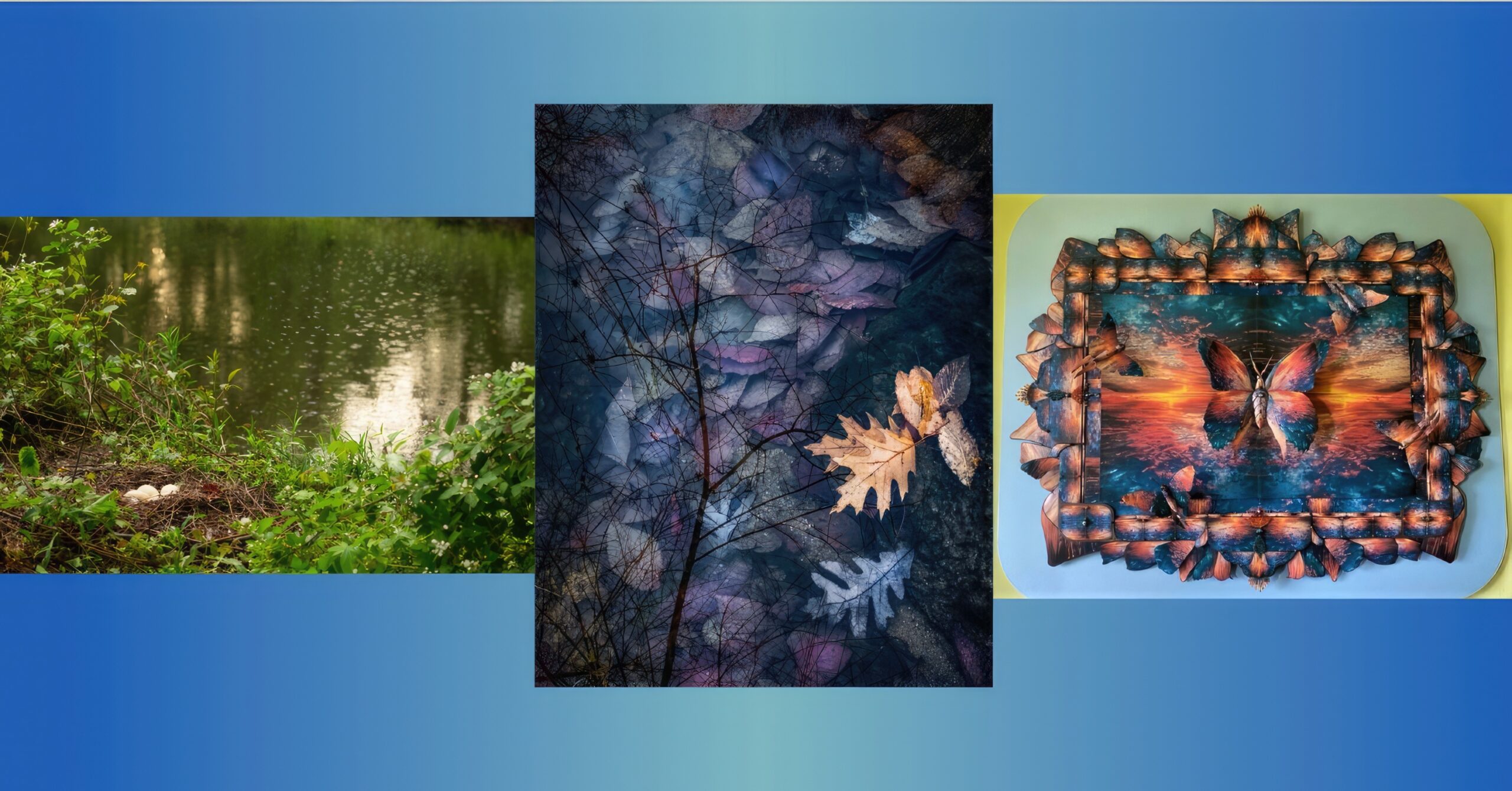 Takoma Park to Host “Celebrating Sligo Creek” Art Reception