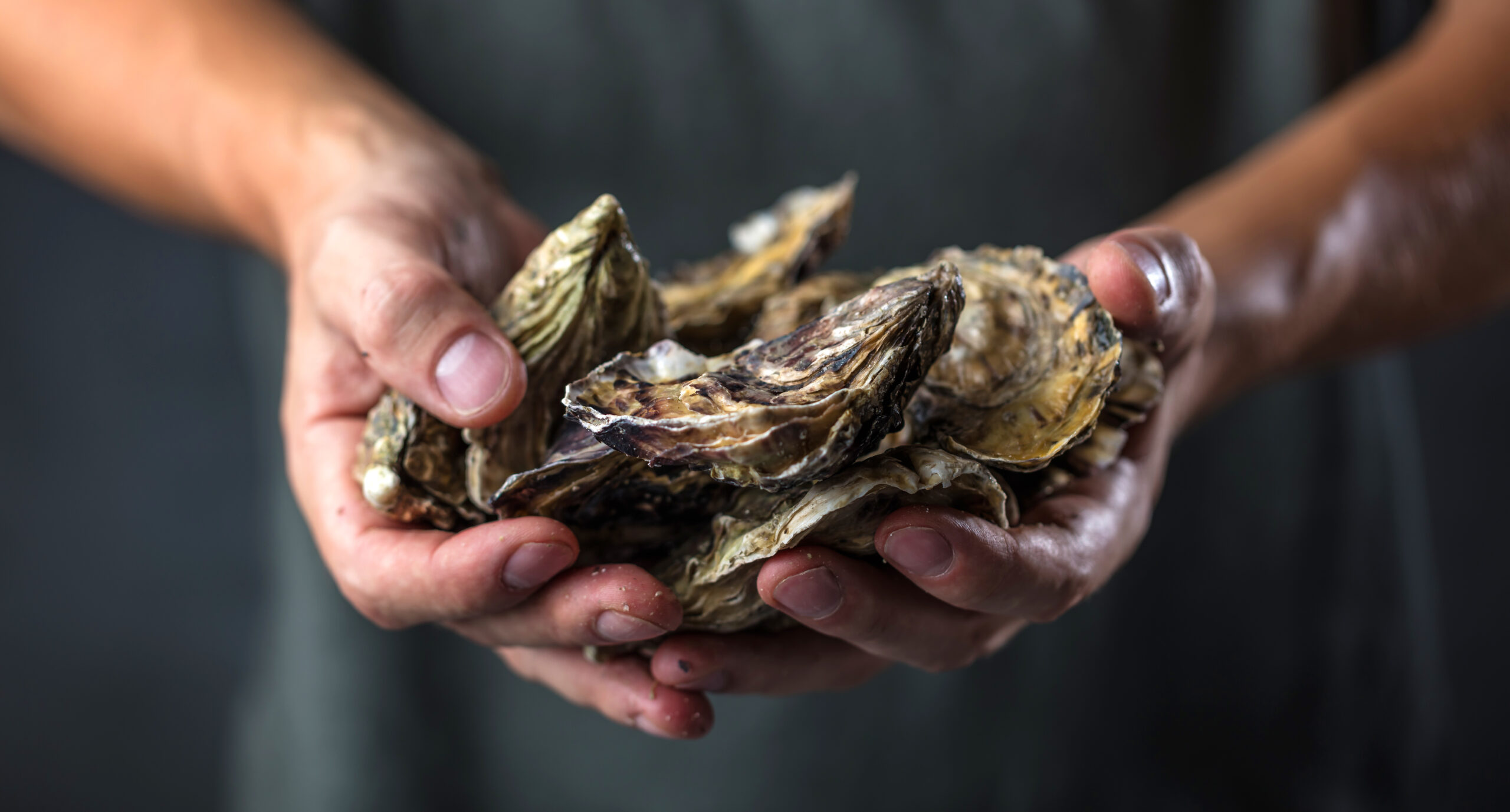 All Set Restaurant & Bar Hosting Oyster Eating Contest