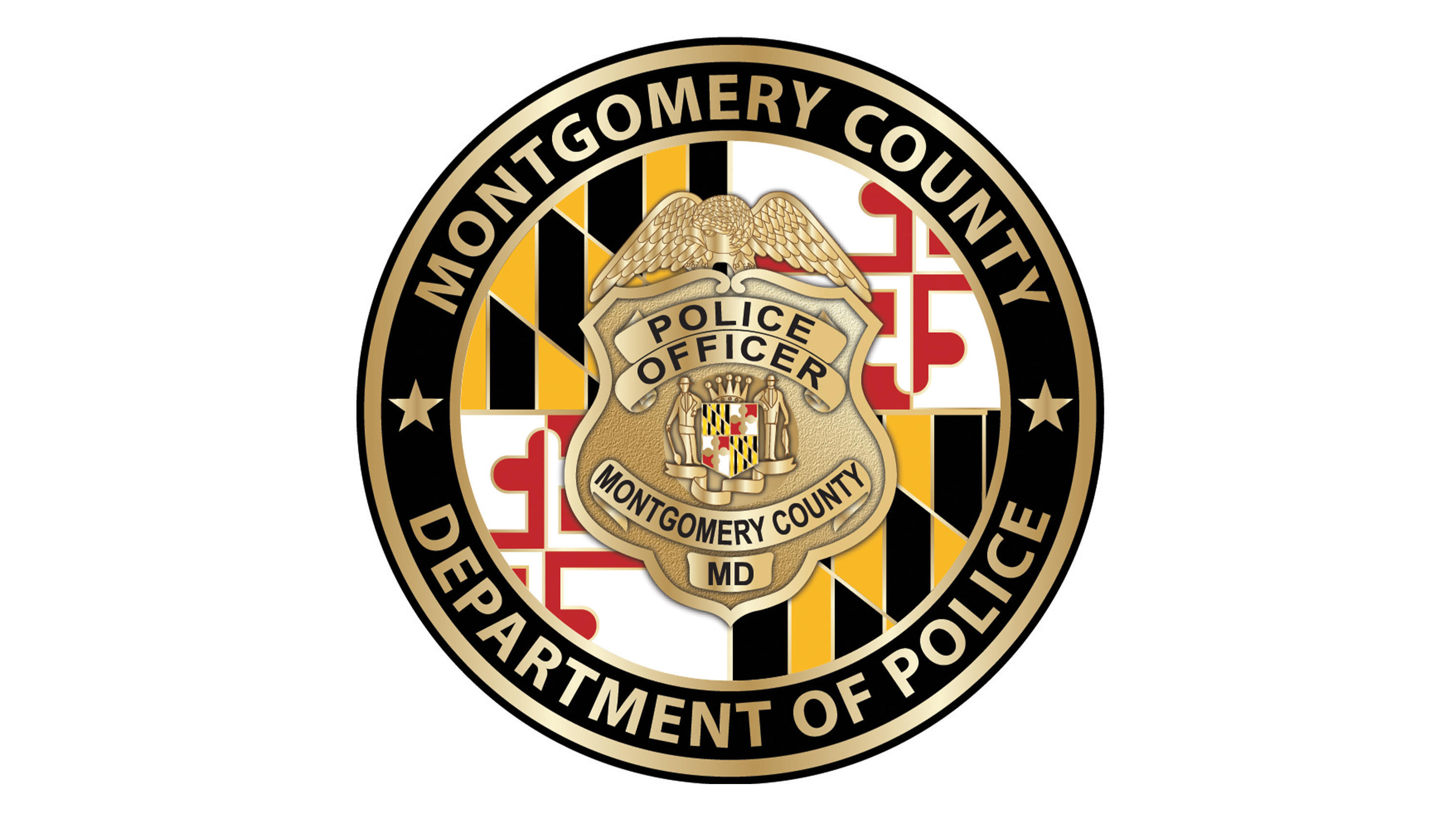 Police Make Multiple Arrests for Carjacking, Auto Theft