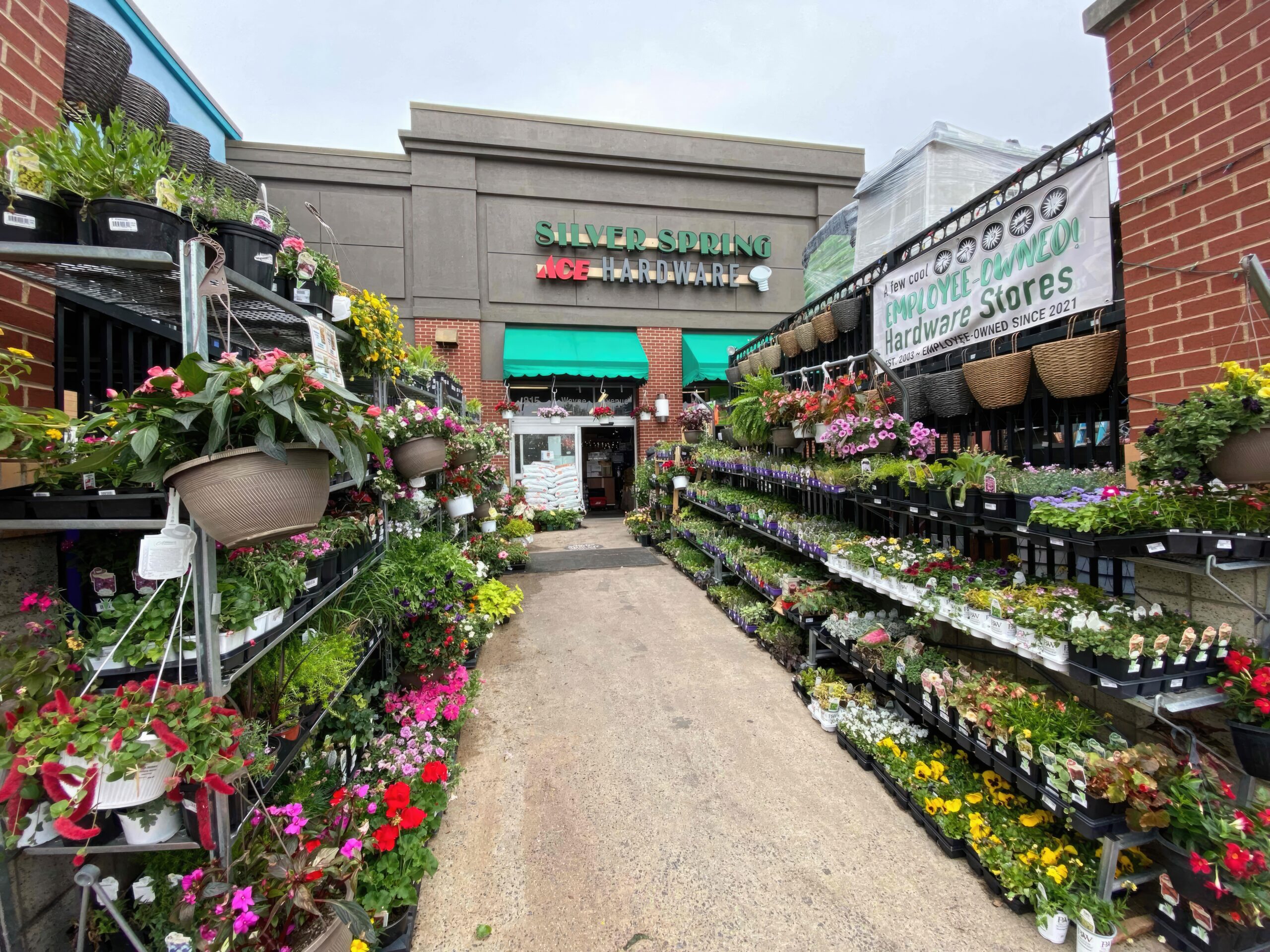 Serial Hardware Store Thief Sentenced to Four Years in Prison