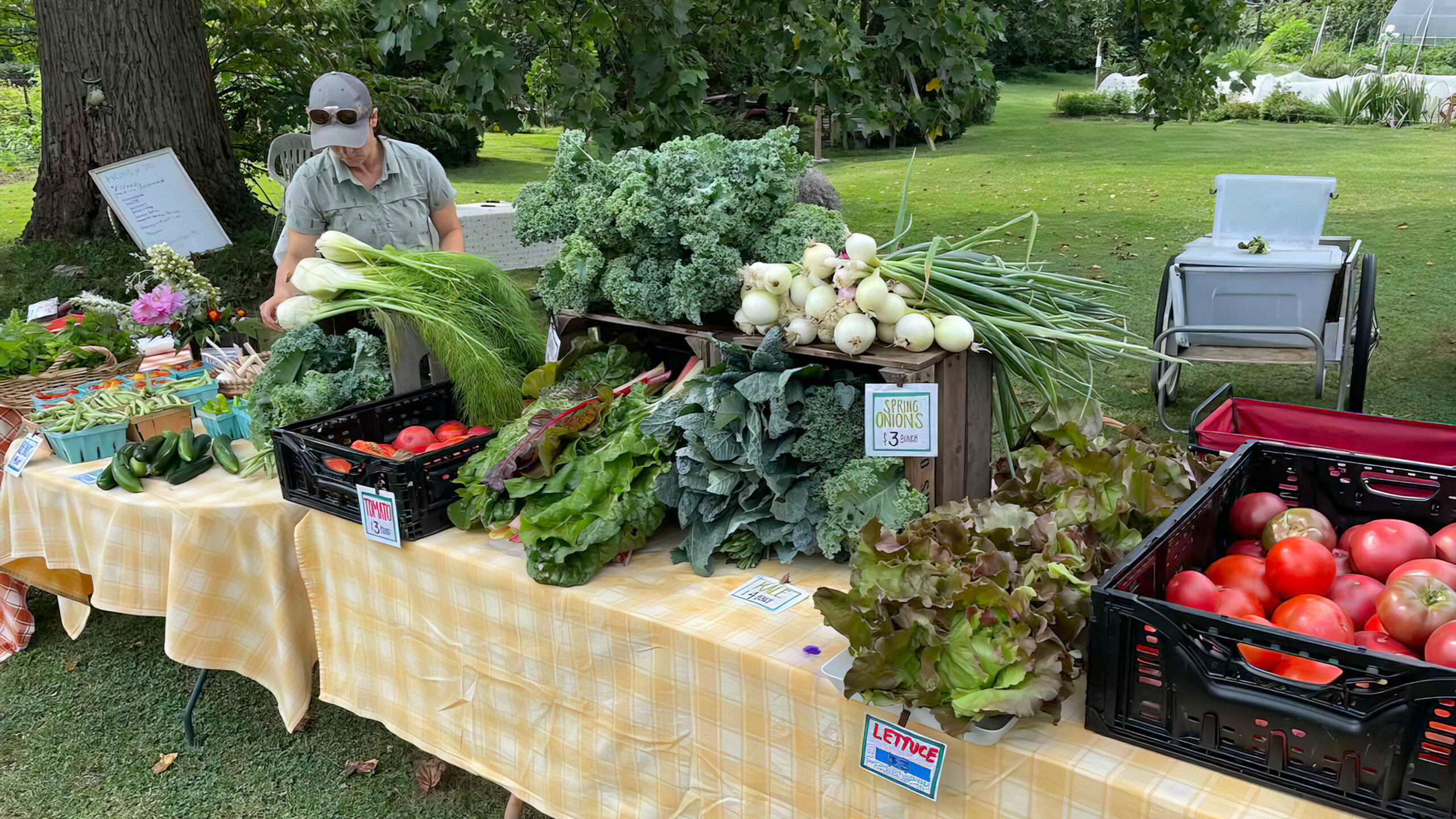Meet the Faces Behind Koiner Farm’s Harvest Crew: A Community Spotlight