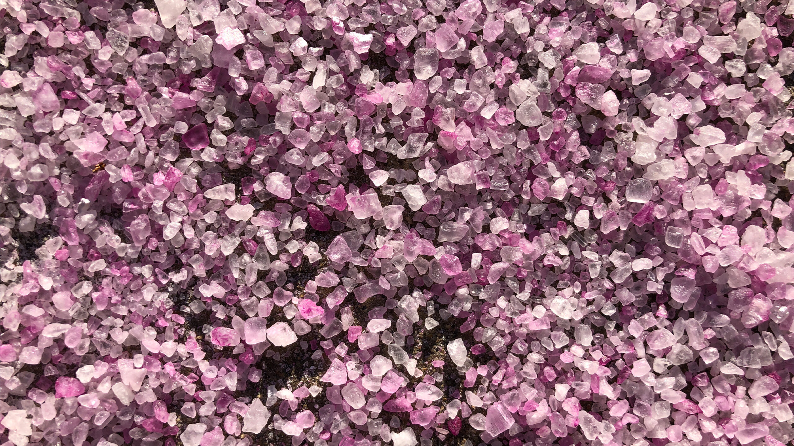 Montgomery County Issues Winter Salt Use Reminder