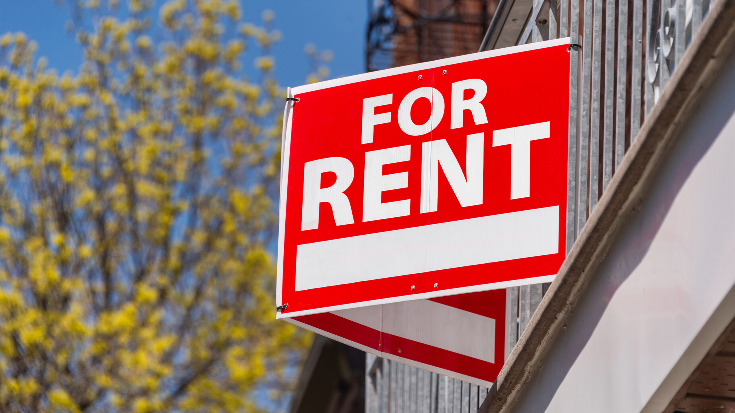 Renters Alliance Hosts Councilmember Kate Stewart, Discusses Pending Legislation