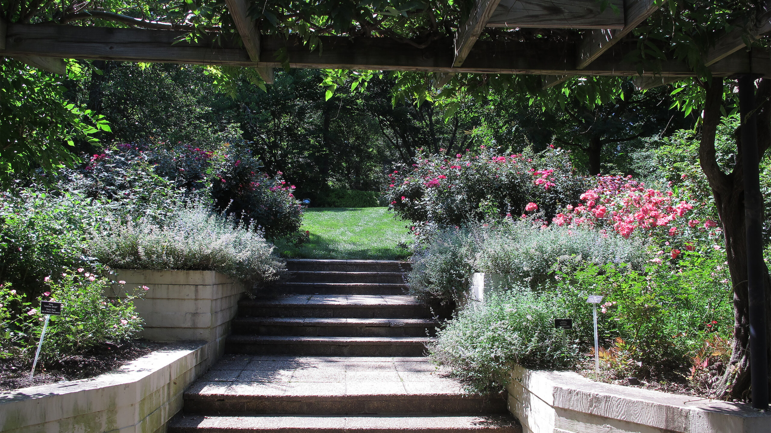 Montgomery Parks to Revamp Brookside Gardens’ Rose Garden for Ecological Sustainability