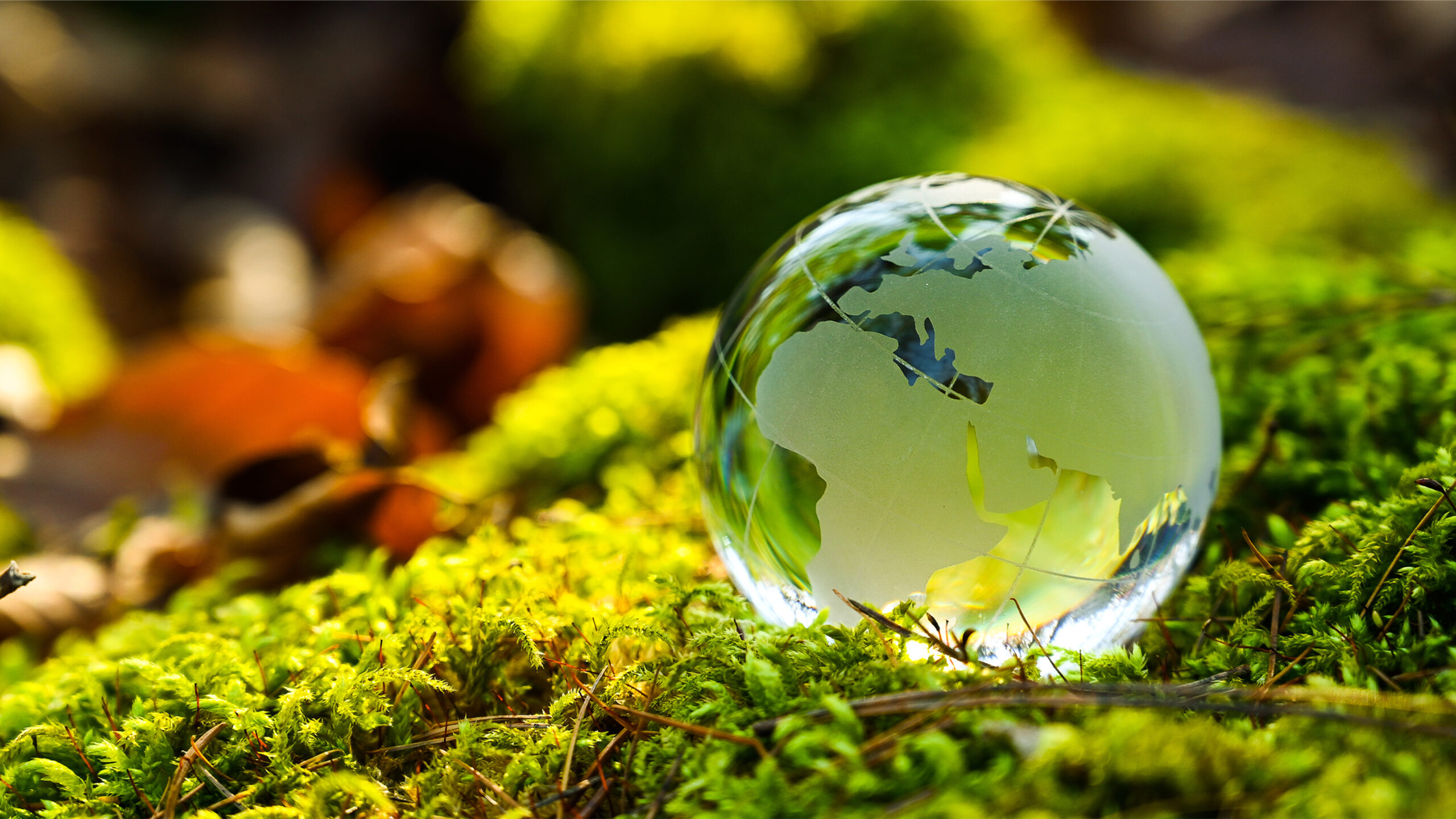 Montgomery County Celebrates “Earth Month” with Eco-Friendly Activities and Events
