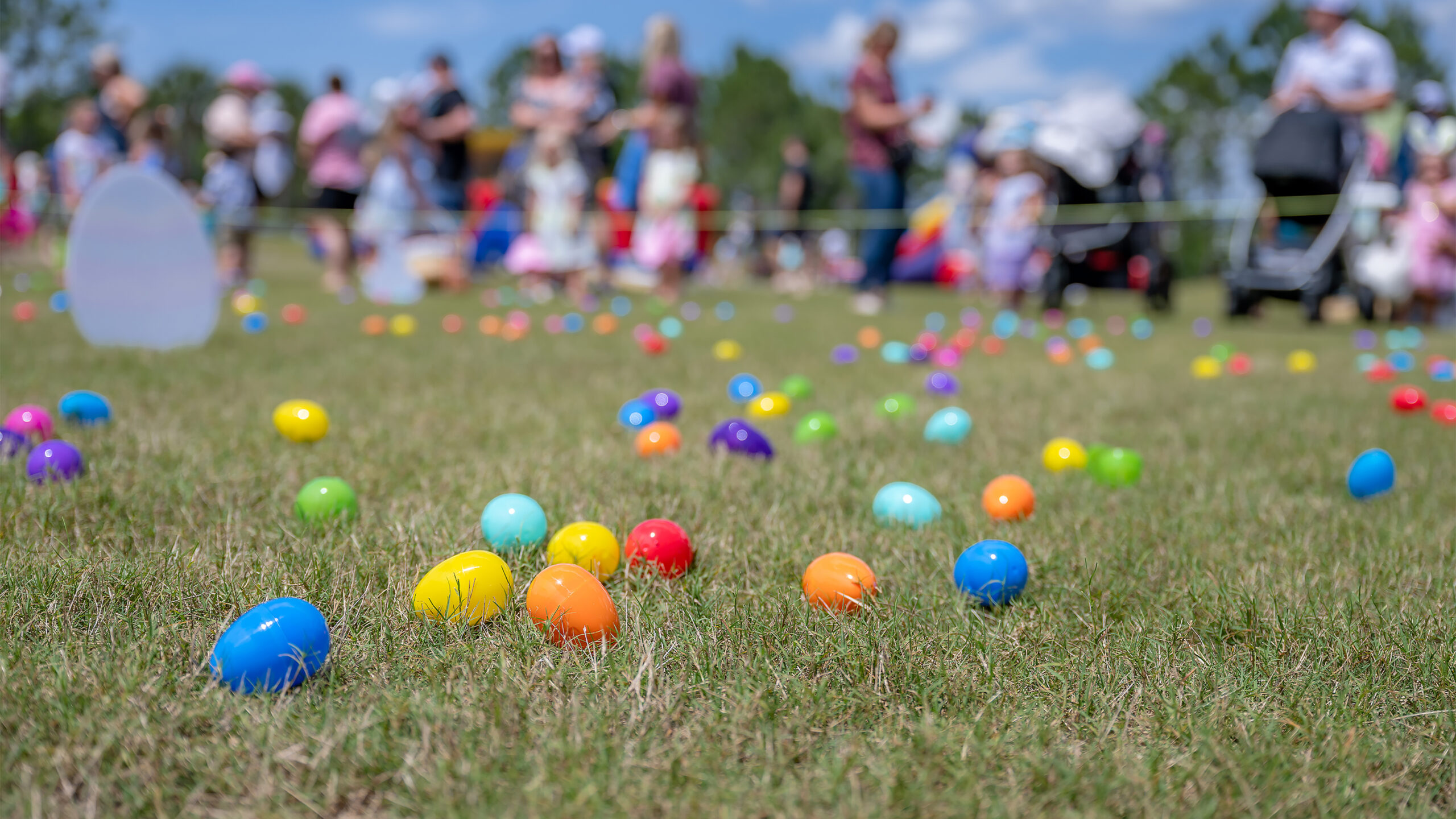 Hop into Spring: Takoma Park’s Easter Egg Hunt Returns on March 30th