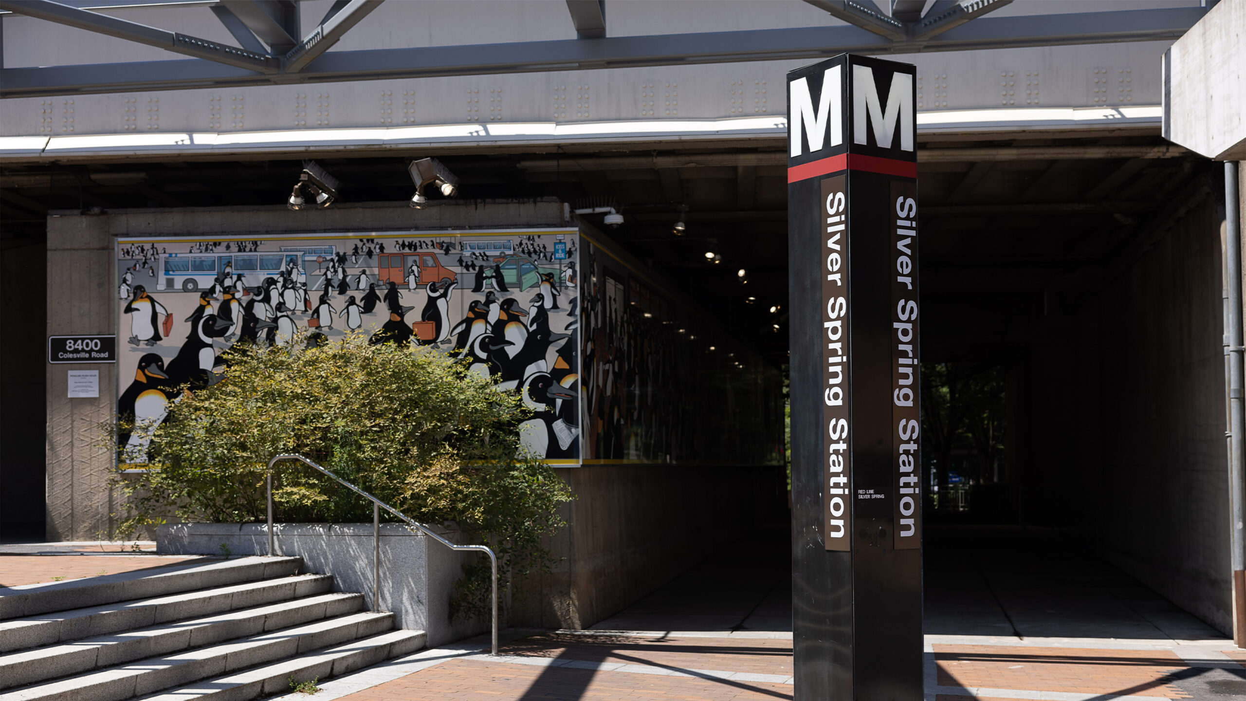 Silver Spring Arts & Entertainment District Seeks Applicants for Advisory Group