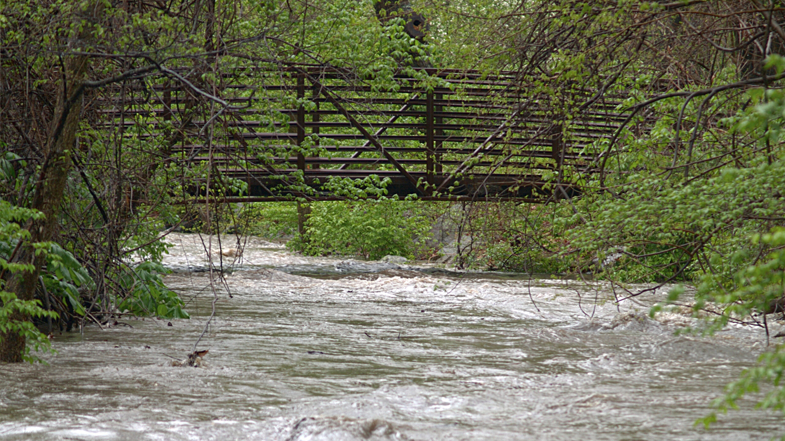 Community Input Sought for Silver Spring Bridge Replacement Project