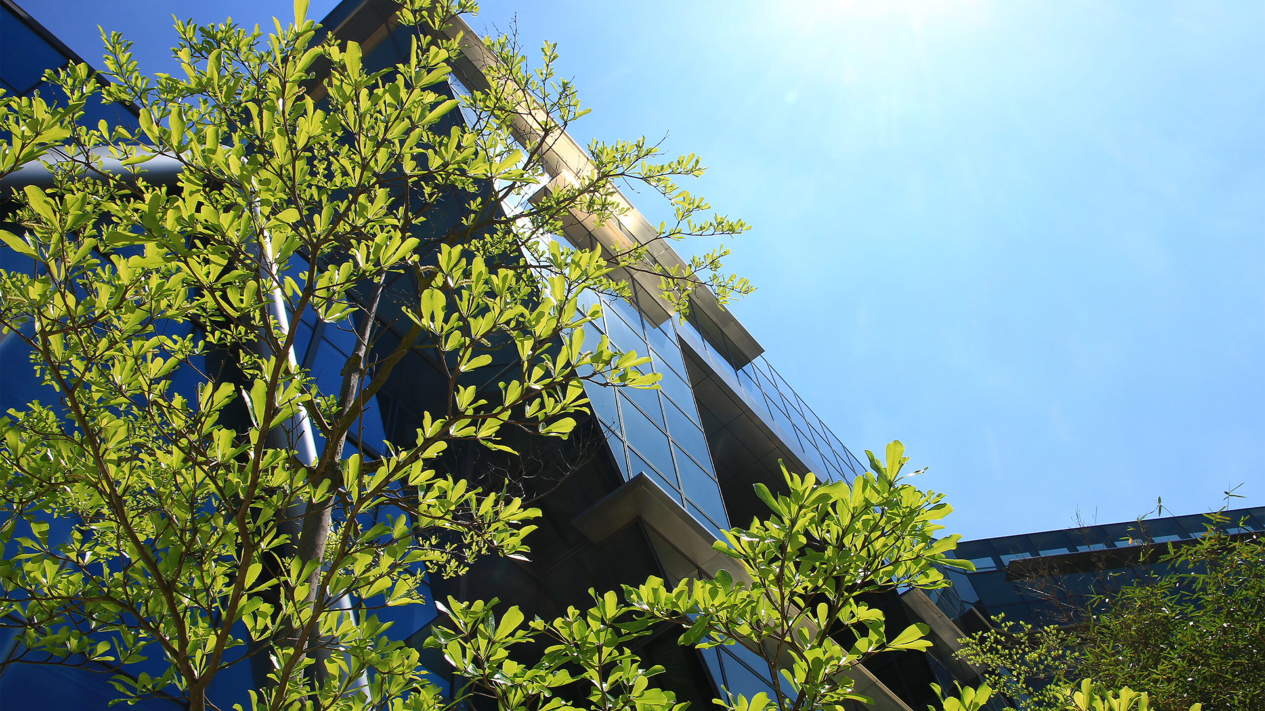 Energy Efficiency Takes Center Stage at County’s 11th Annual Summit