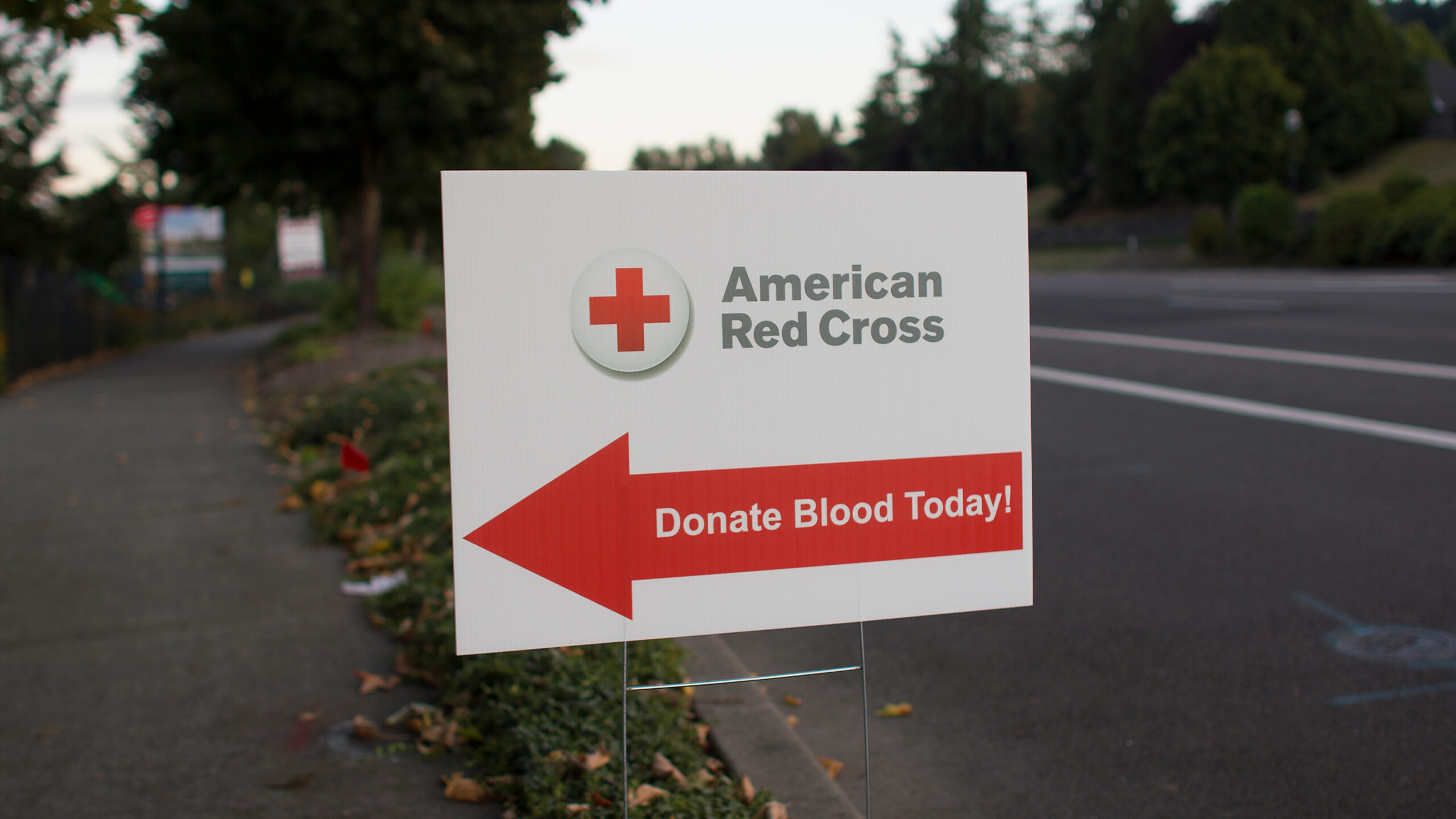 ‘Our Job Is to Build a Bridge’: How the Red Cross Serves the Community