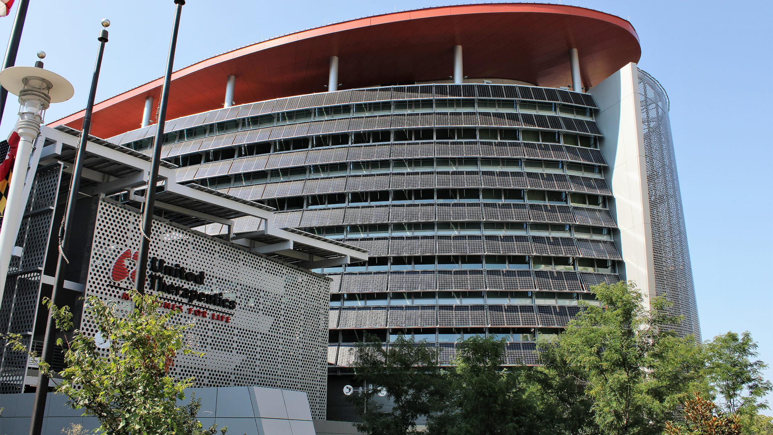 Breakthrough: United Therapeutics Achieves Historic Pig-to-Human Kidney Transplant