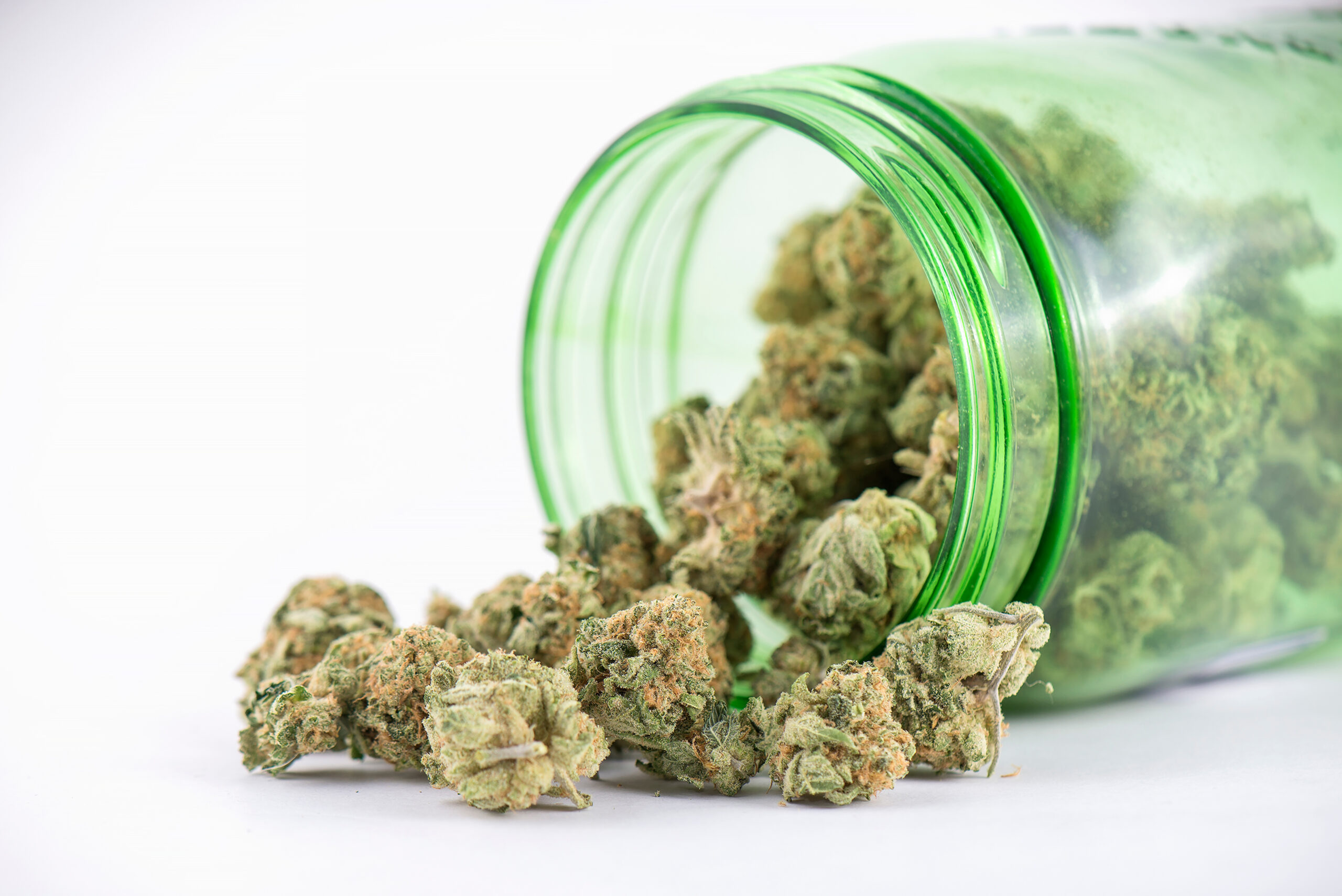 Maryland Leads the Nation: 175,000 Cannabis Convictions Pardoned by Governor Moore