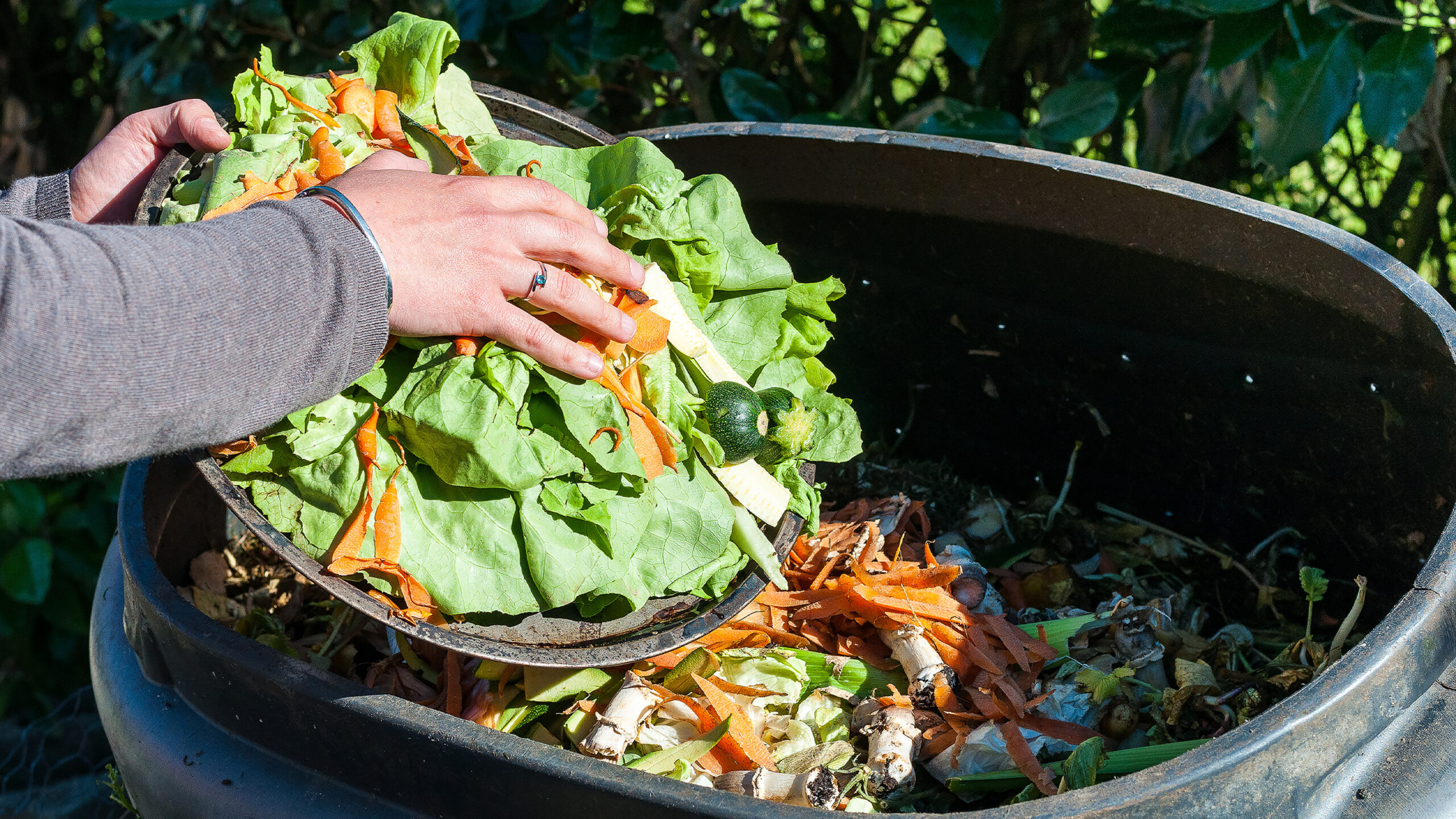 Montgomery County Promotes Backyard Composting with June Sale Event