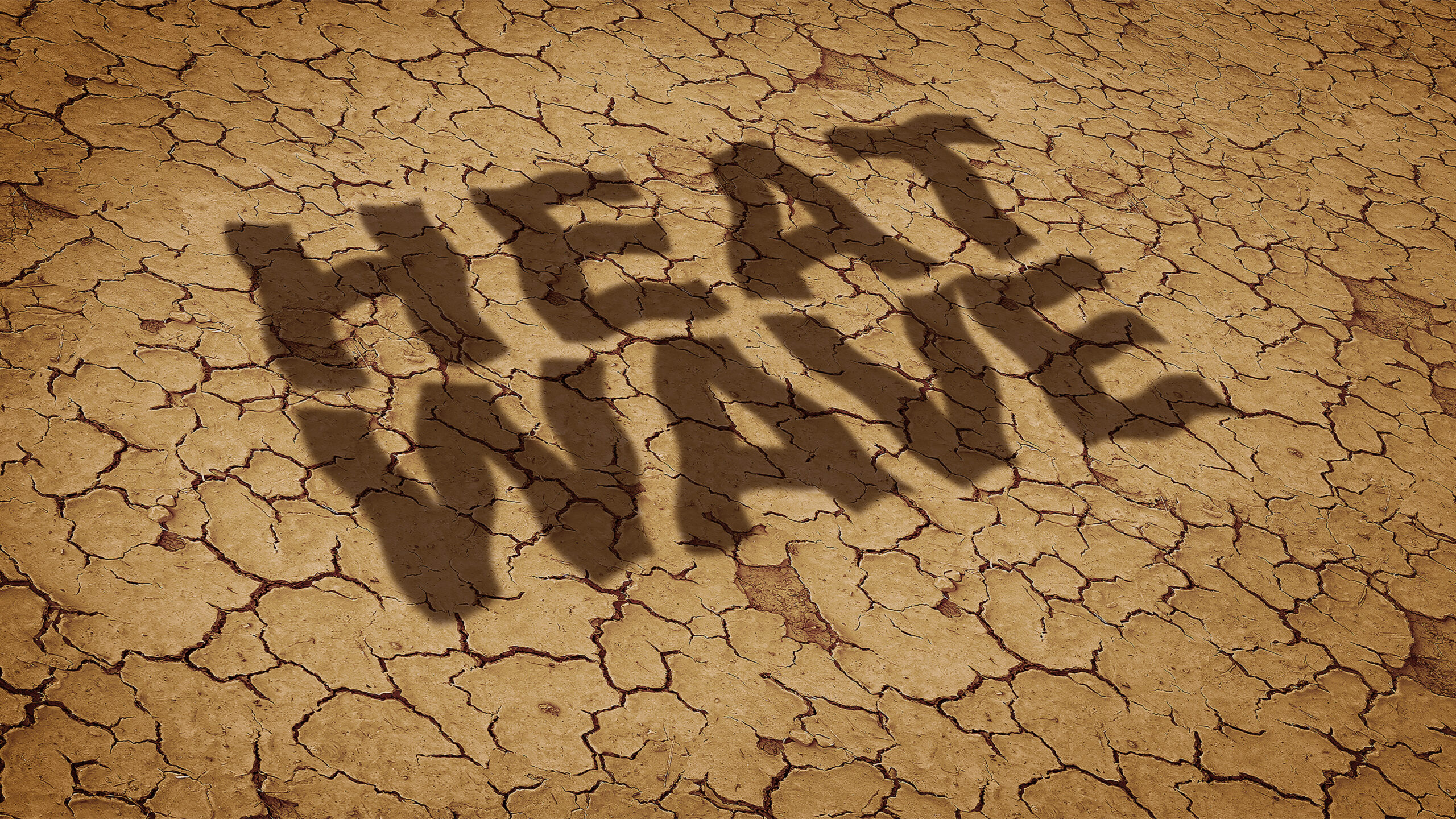 Gov. Wes Moore Issues Preparedness Declaration Amid Maryland Heat Wave